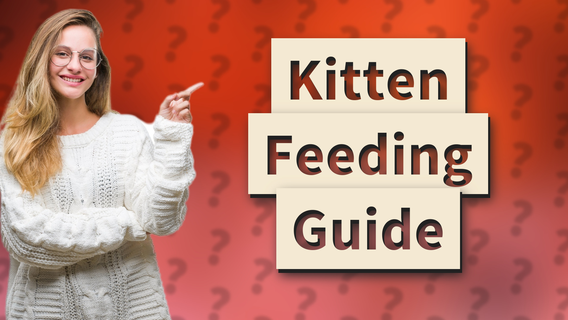Kitten Feeding Guide