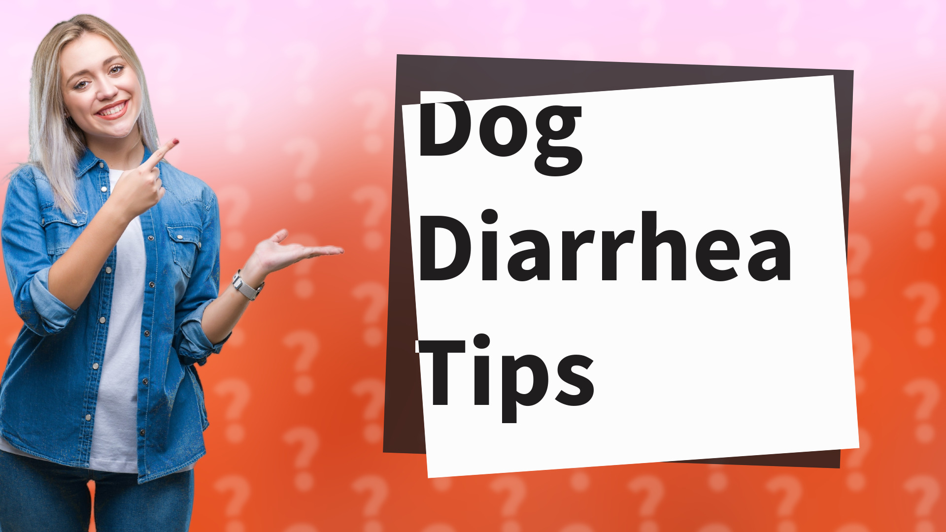 Dog Diarrhea Tips