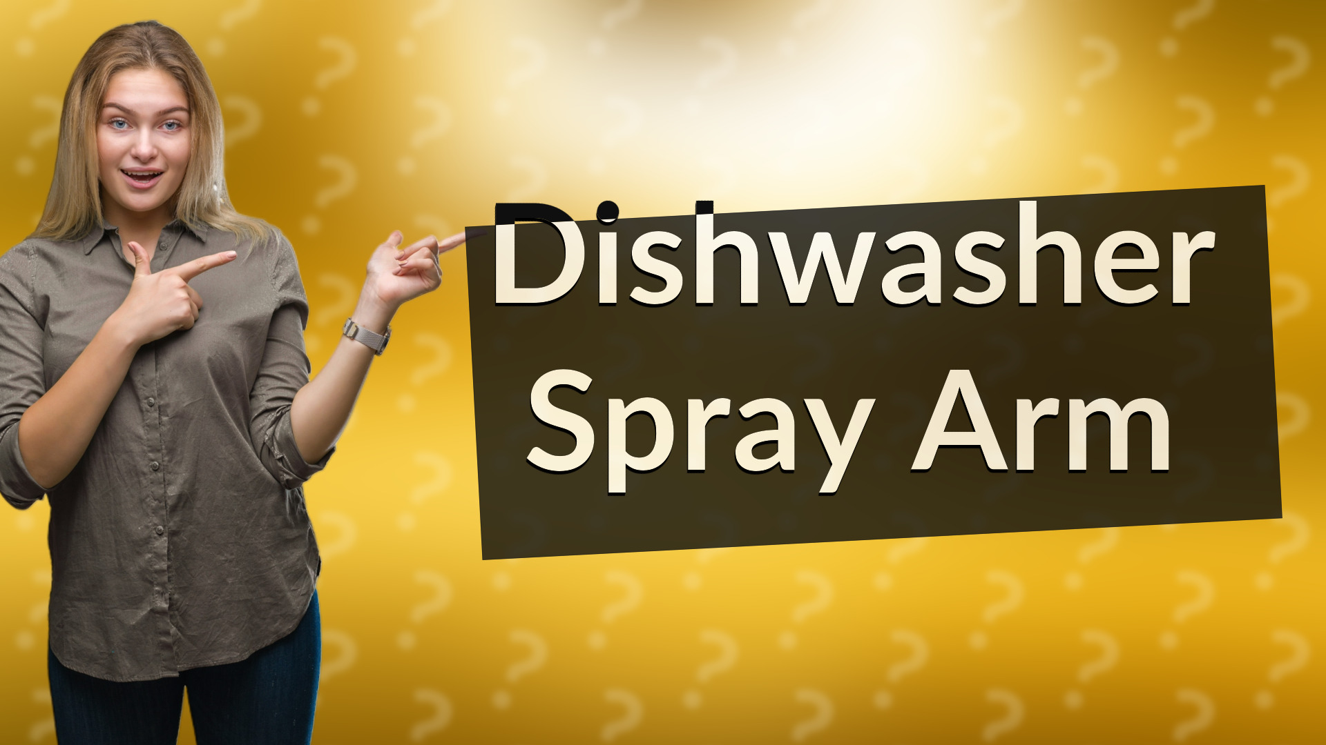 Dishwasher Spray Arm