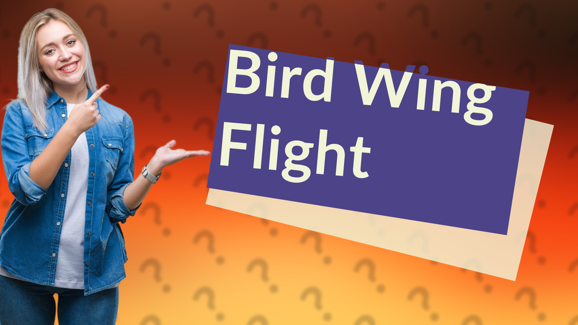 Bird Wing Flight