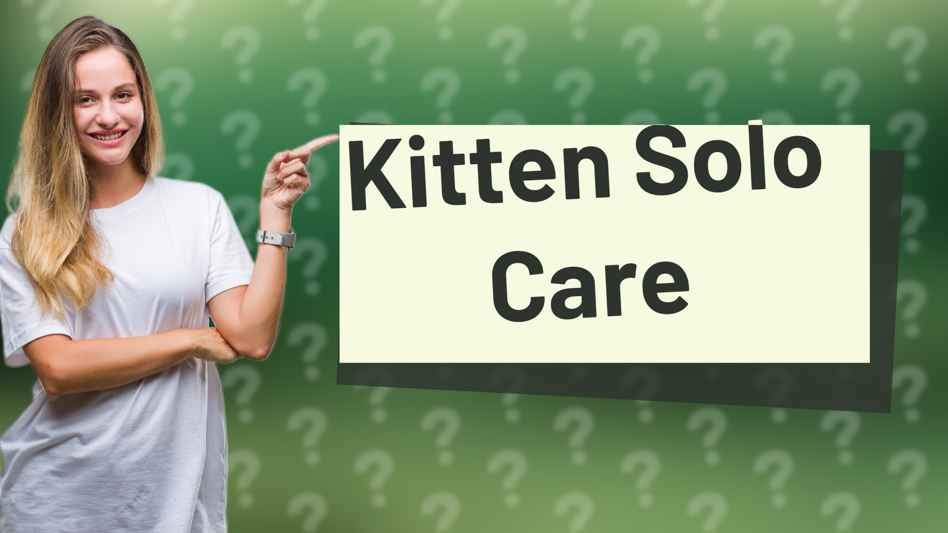 Kitten Solo Care