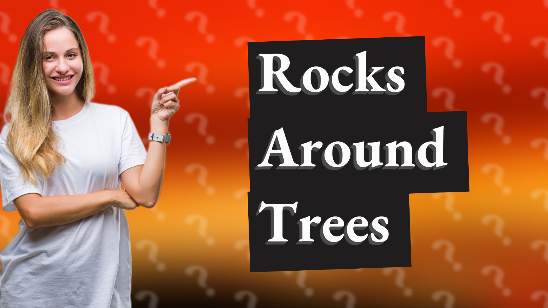 Rocks Around Trees