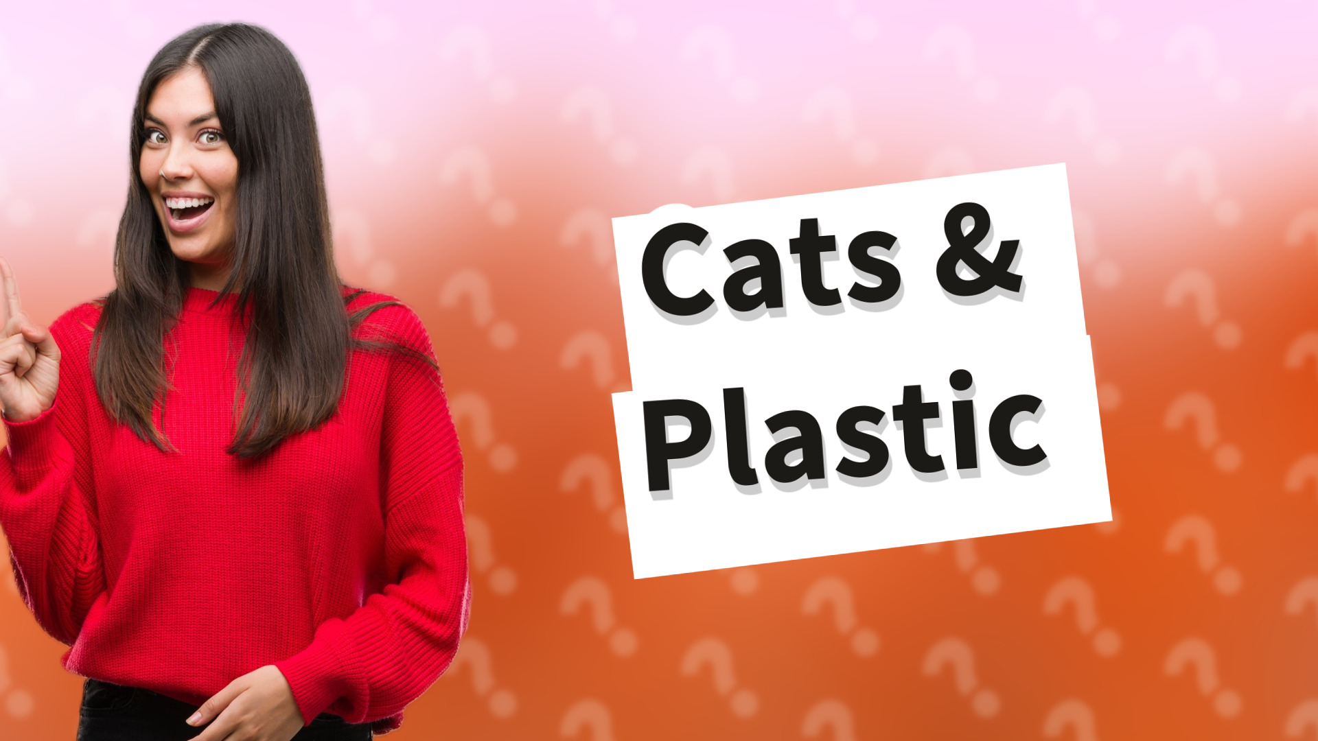 Cats & Plastic