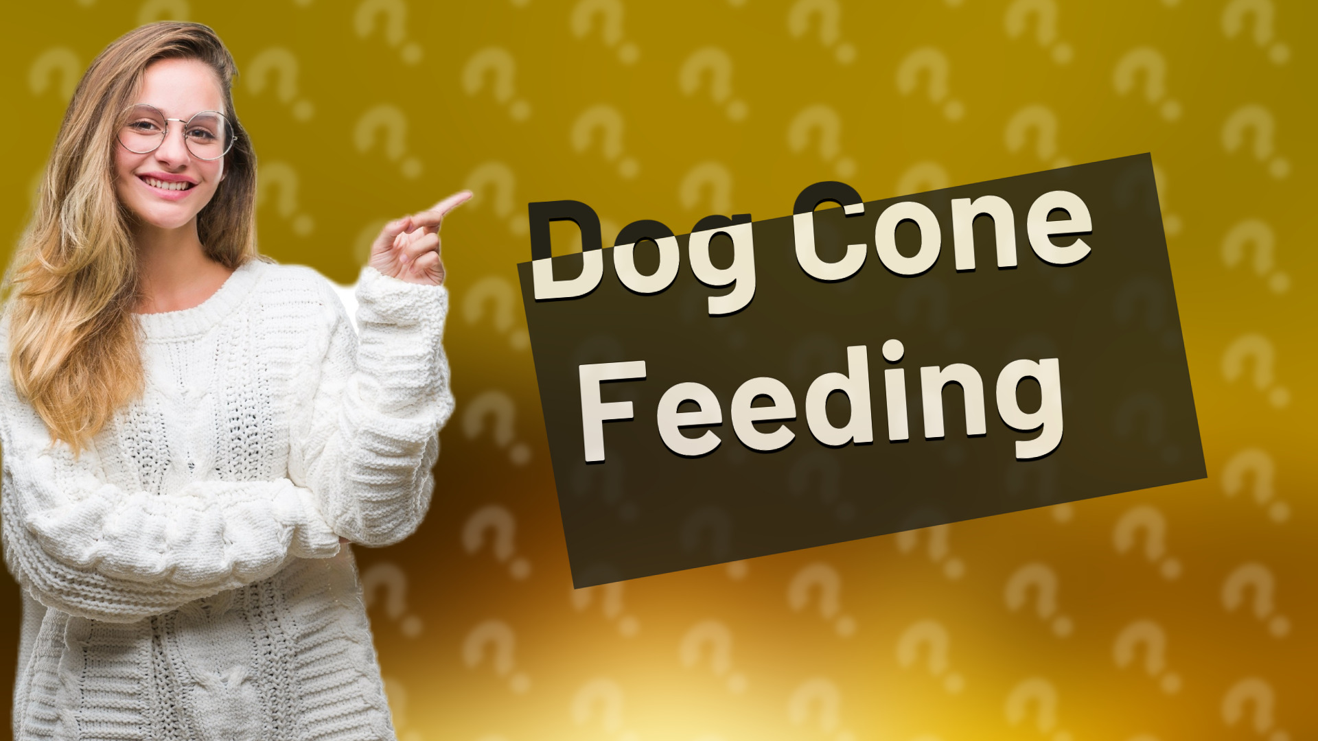 Dog Cone Feeding