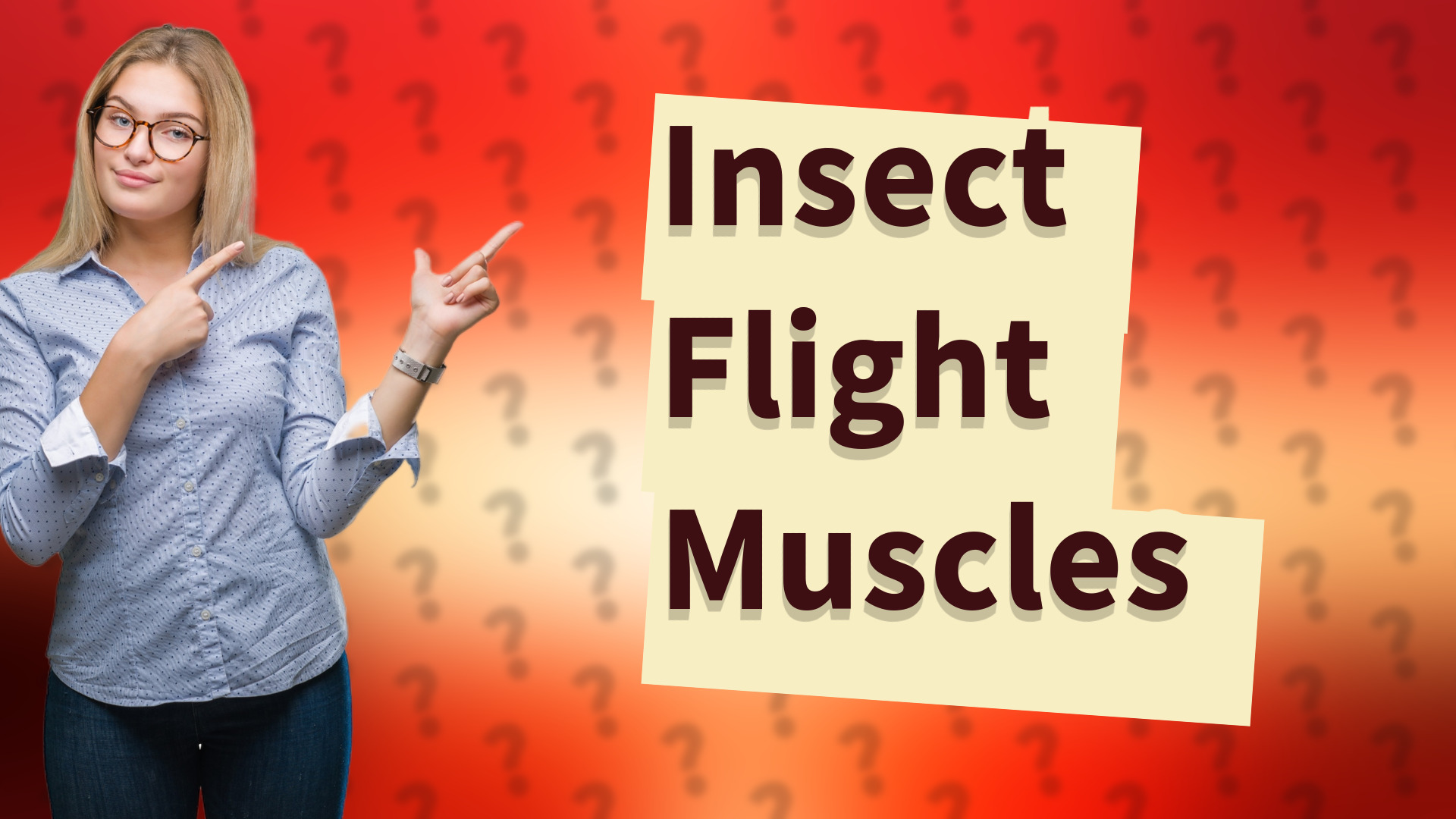 Insect Flight Muscles
