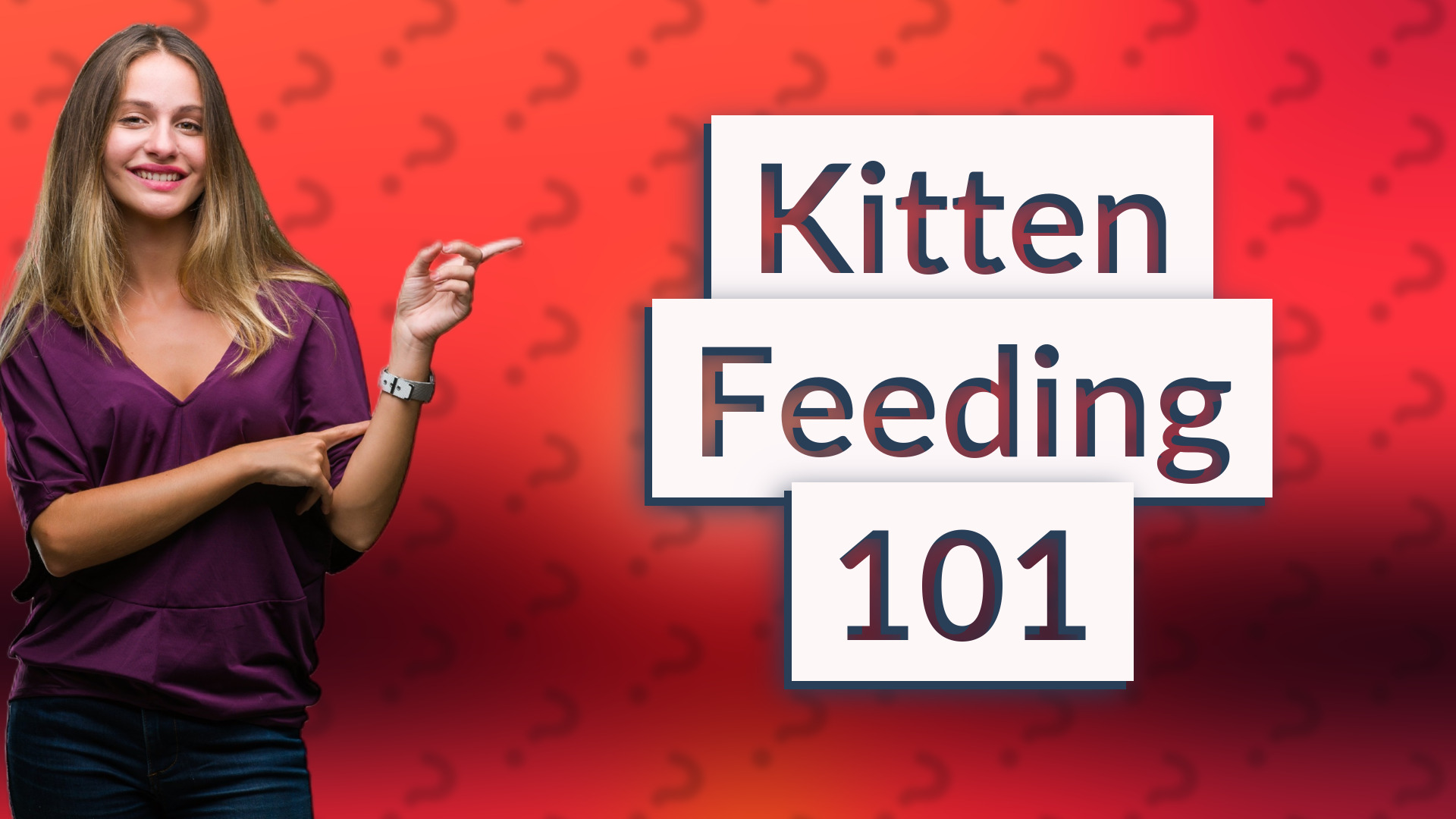 Kitten Feeding 101