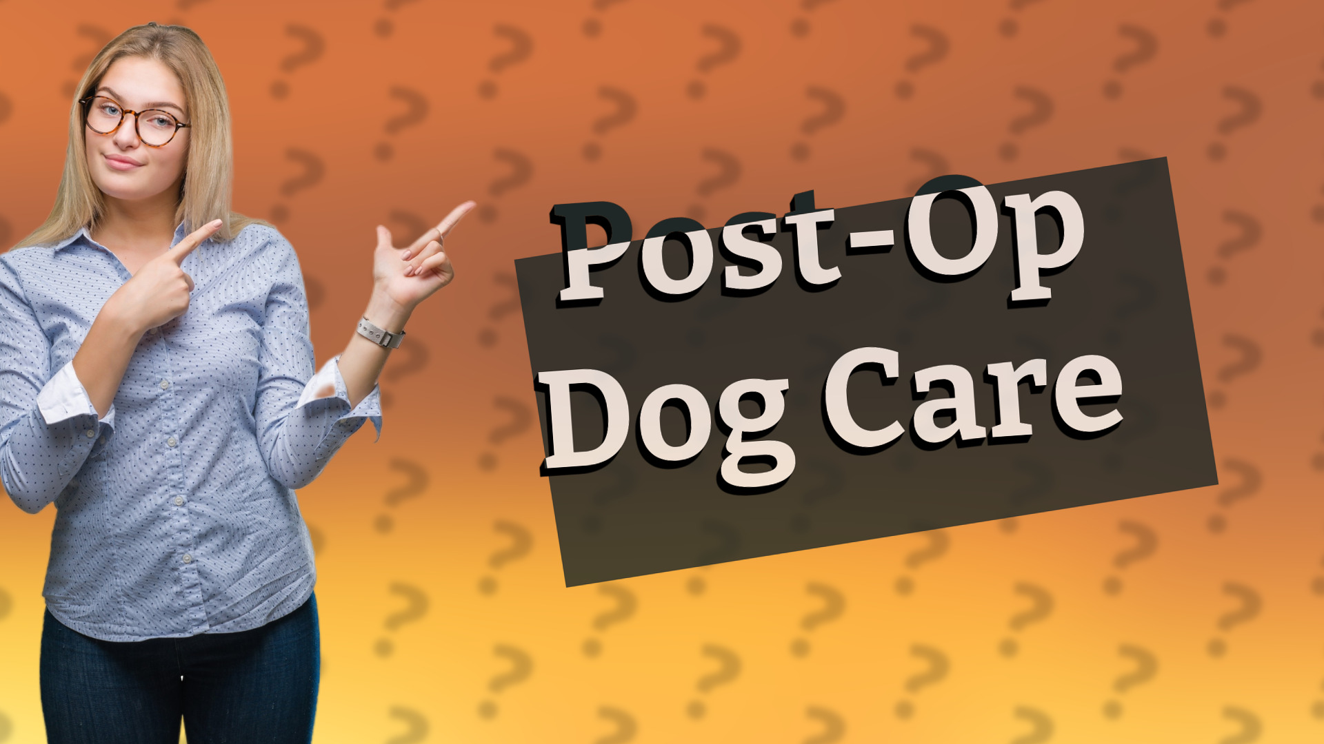 Post-Op Dog Care