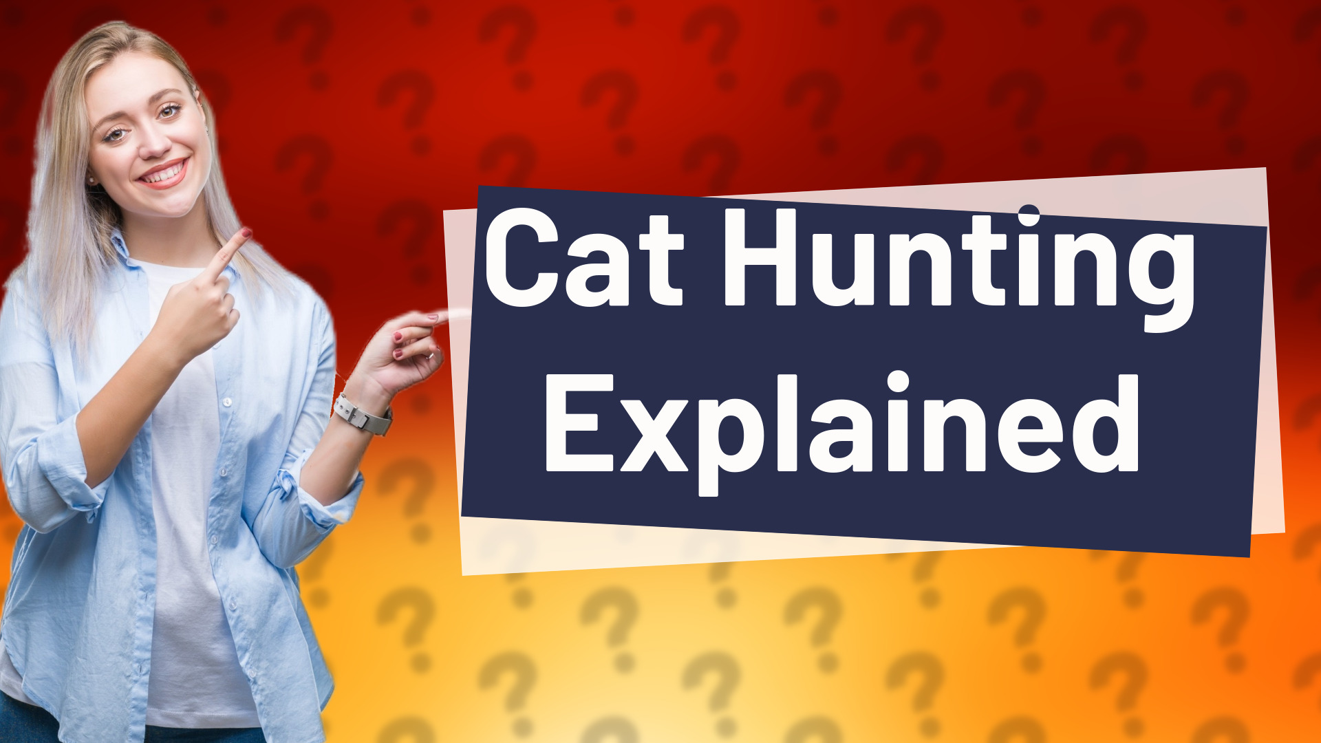 Cat Hunting Explained