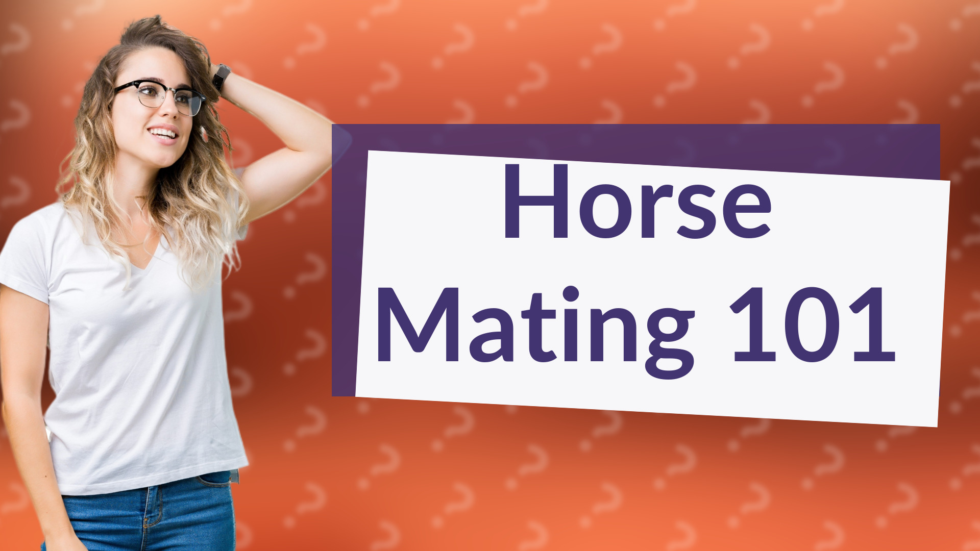 Horse Mating 101