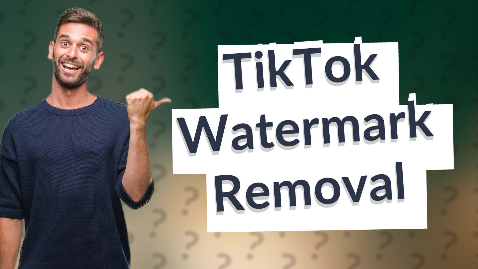 TikTok Watermark Removal