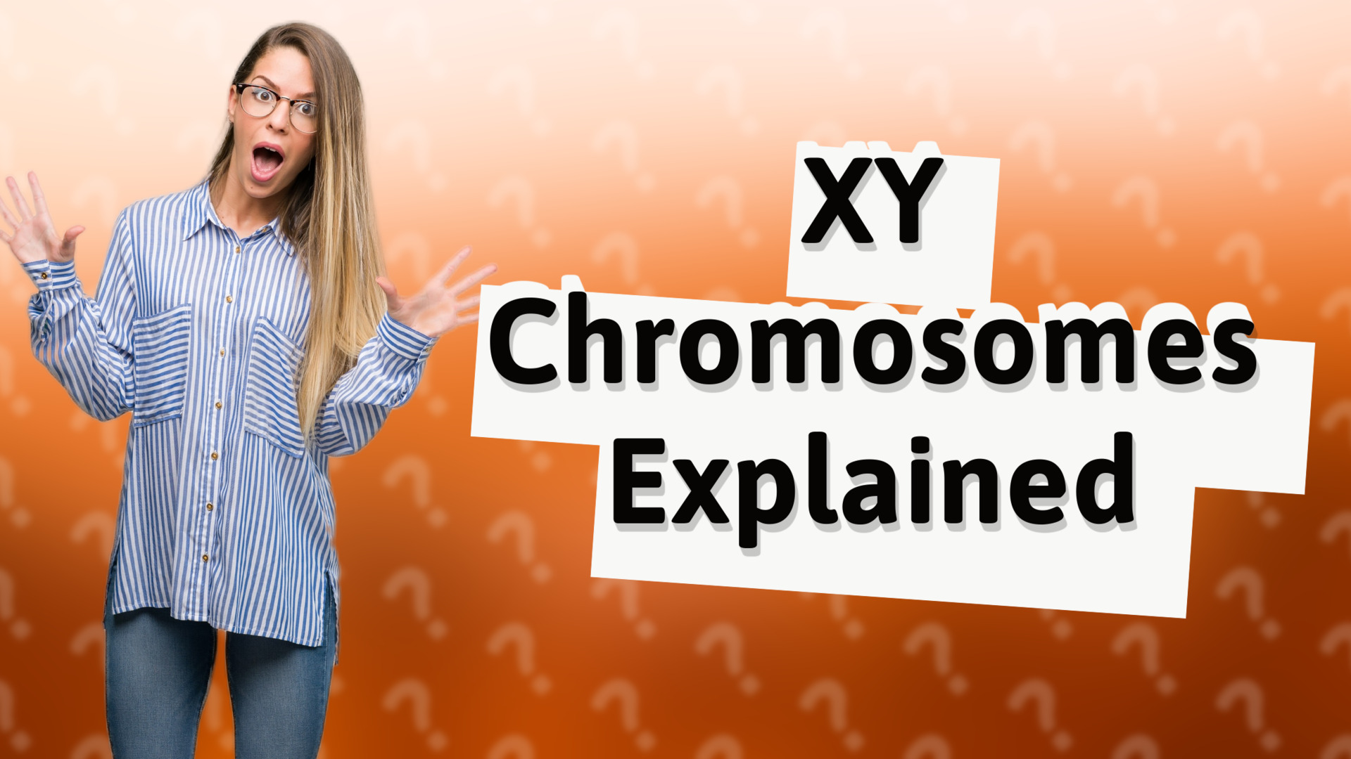 XY Chromosomes Explained