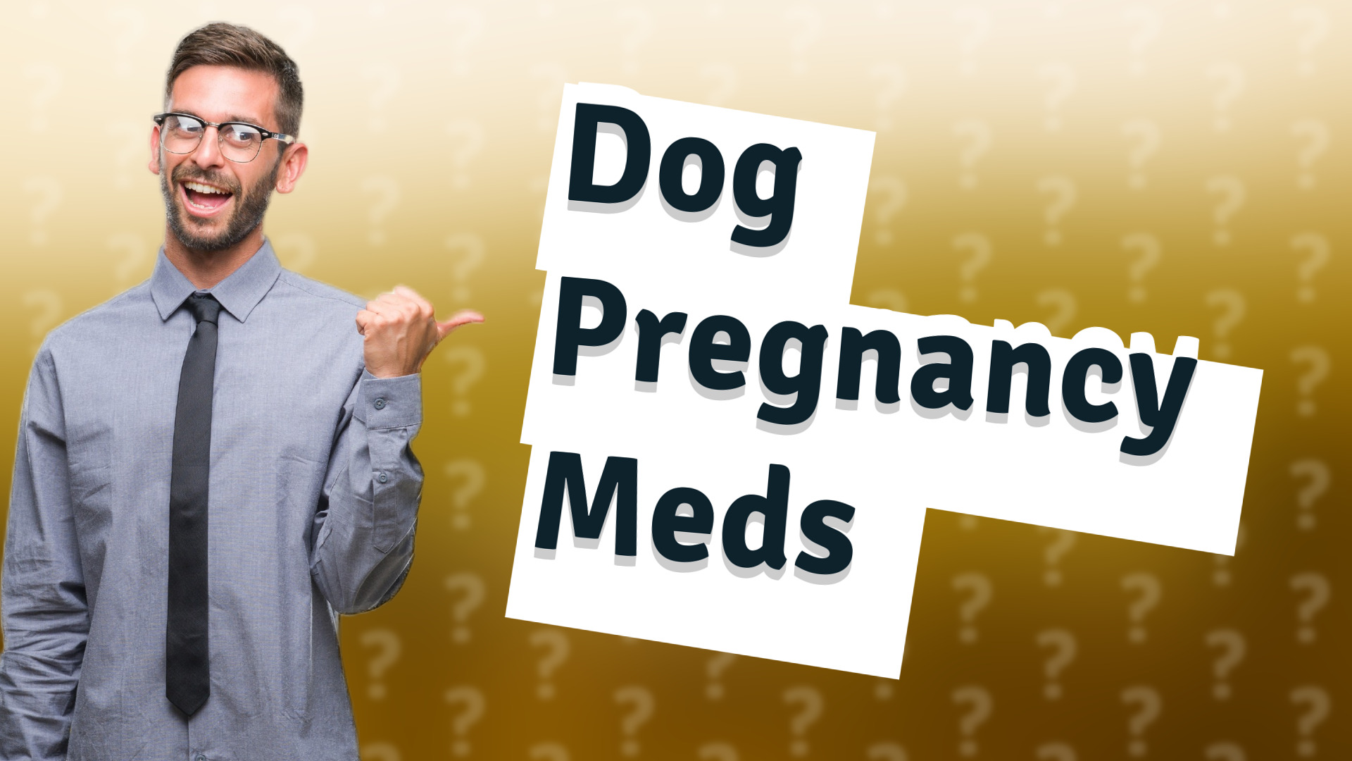 Dog Pregnancy Meds