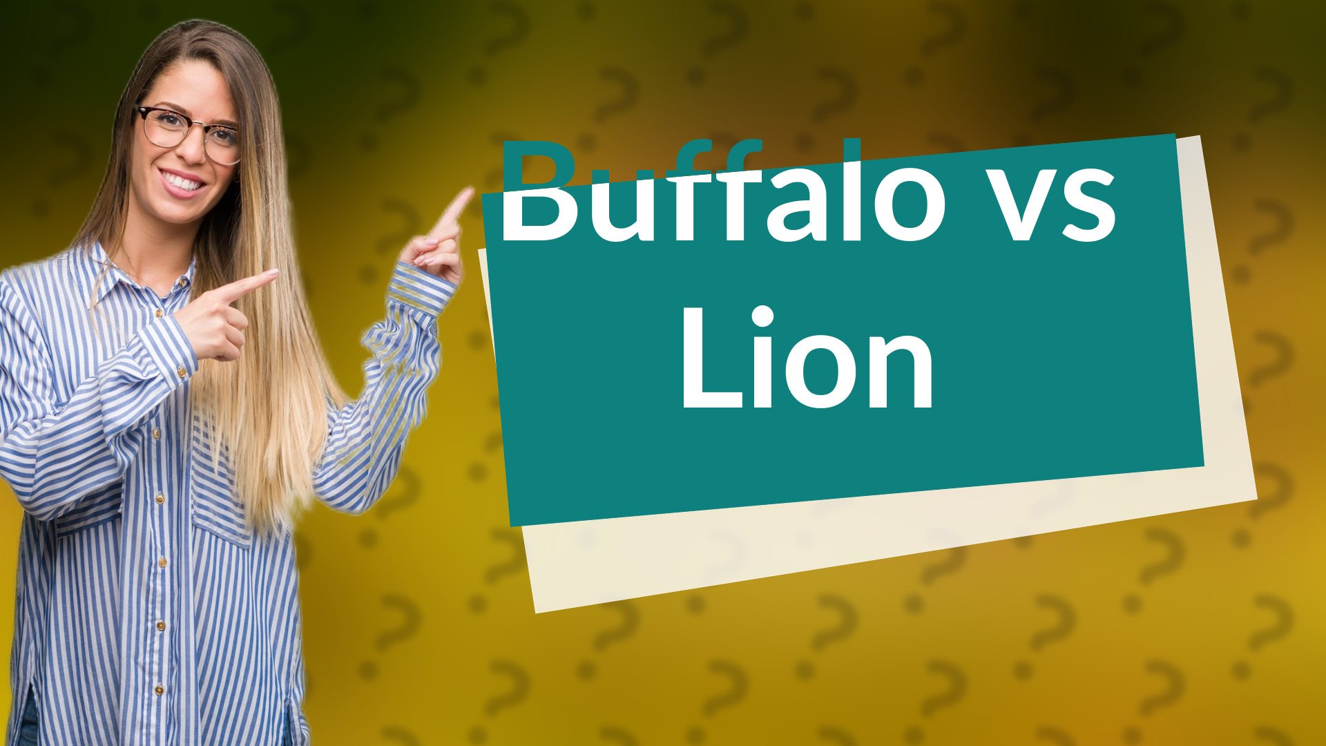 Buffalo vs Lion