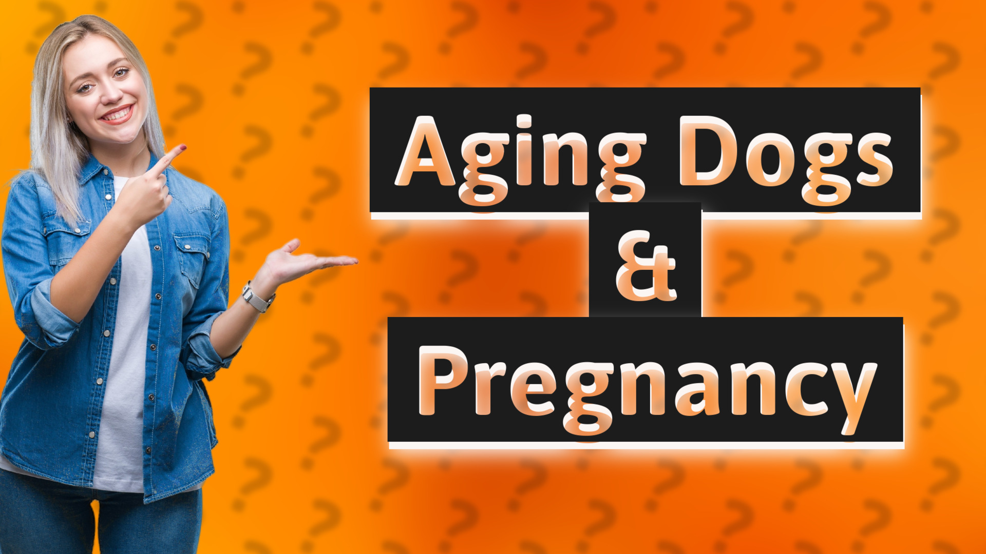 Aging Dogs & Pregnancy
