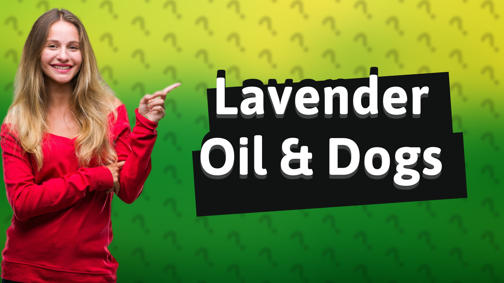 Lavender Oil & Dogs