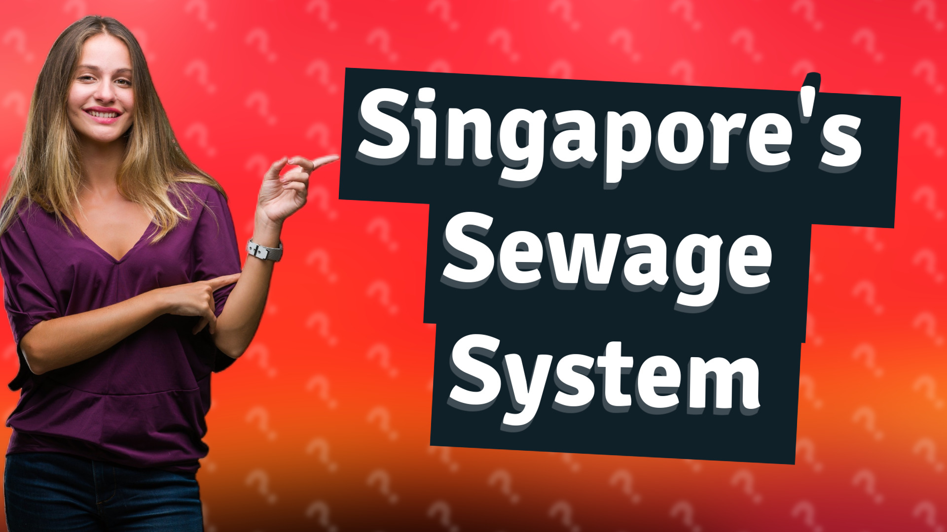 Singapore's Sewage System