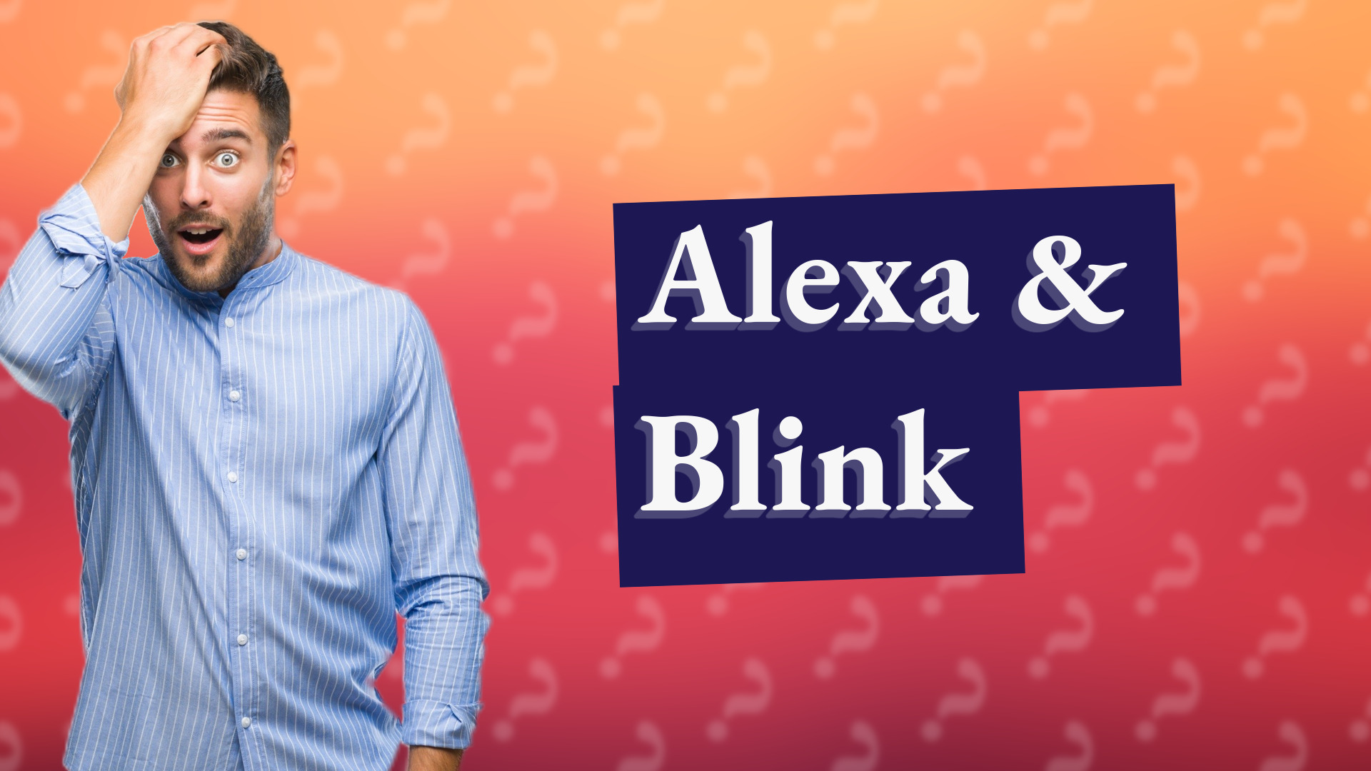 Alexa & Blink