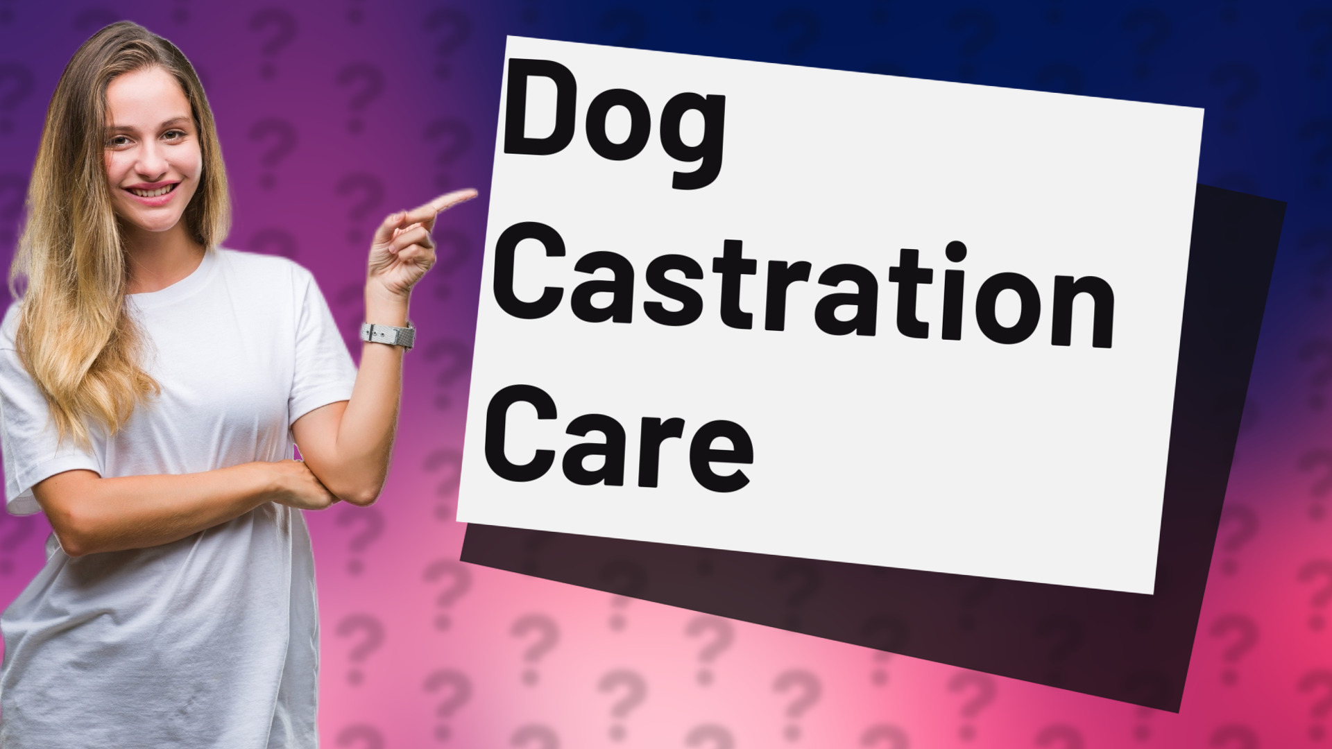 Dog Castration Care