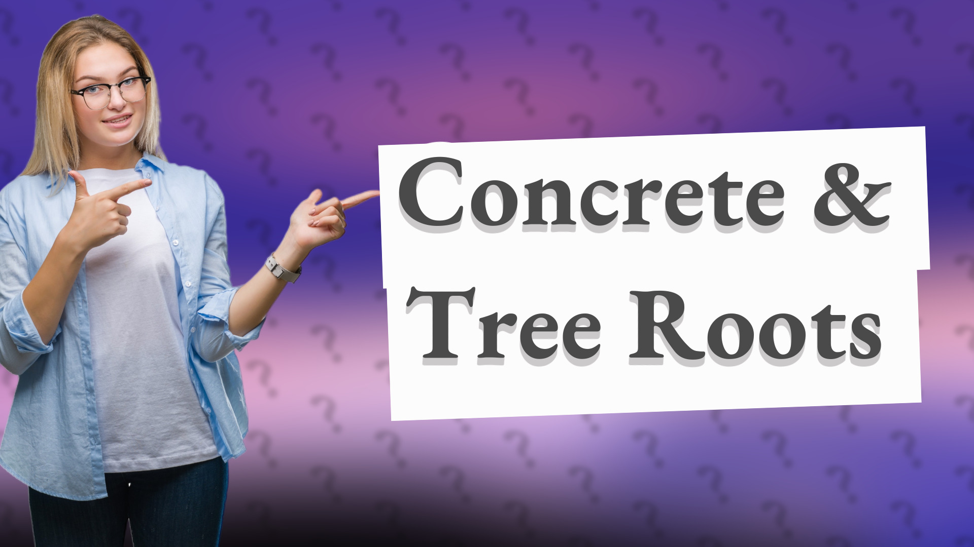 Concrete & Tree Roots