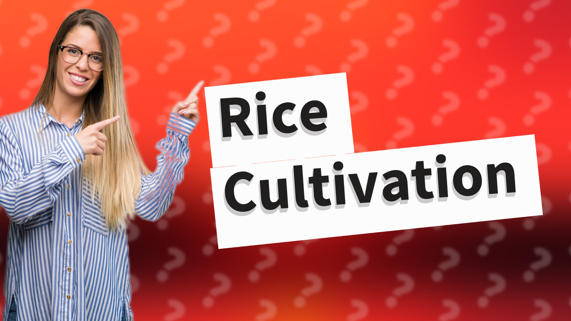 Rice Cultivation