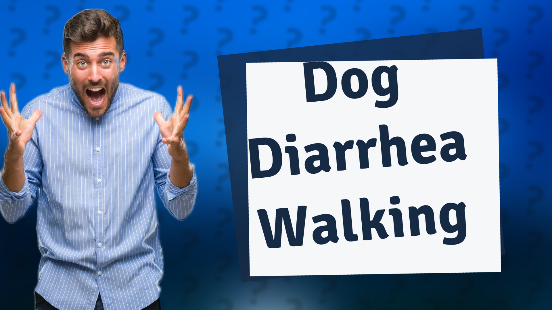 Dog Diarrhea Walking