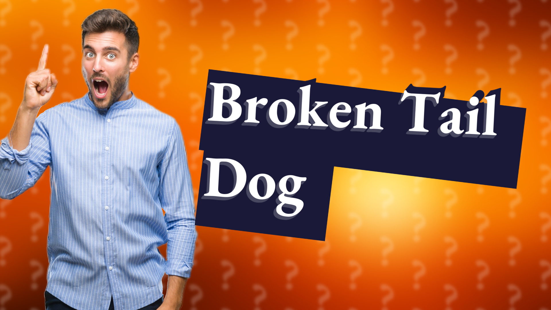 Broken Tail Dog