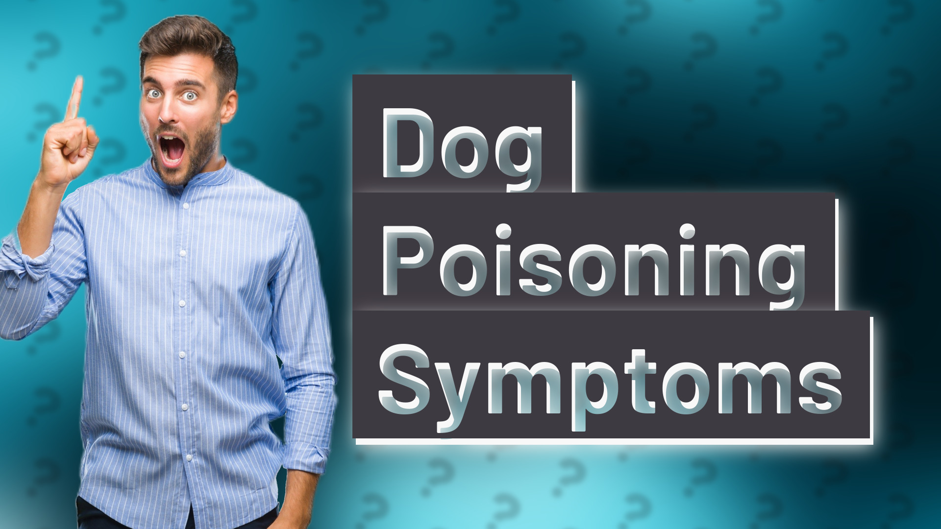 Dog Poisoning Symptoms
