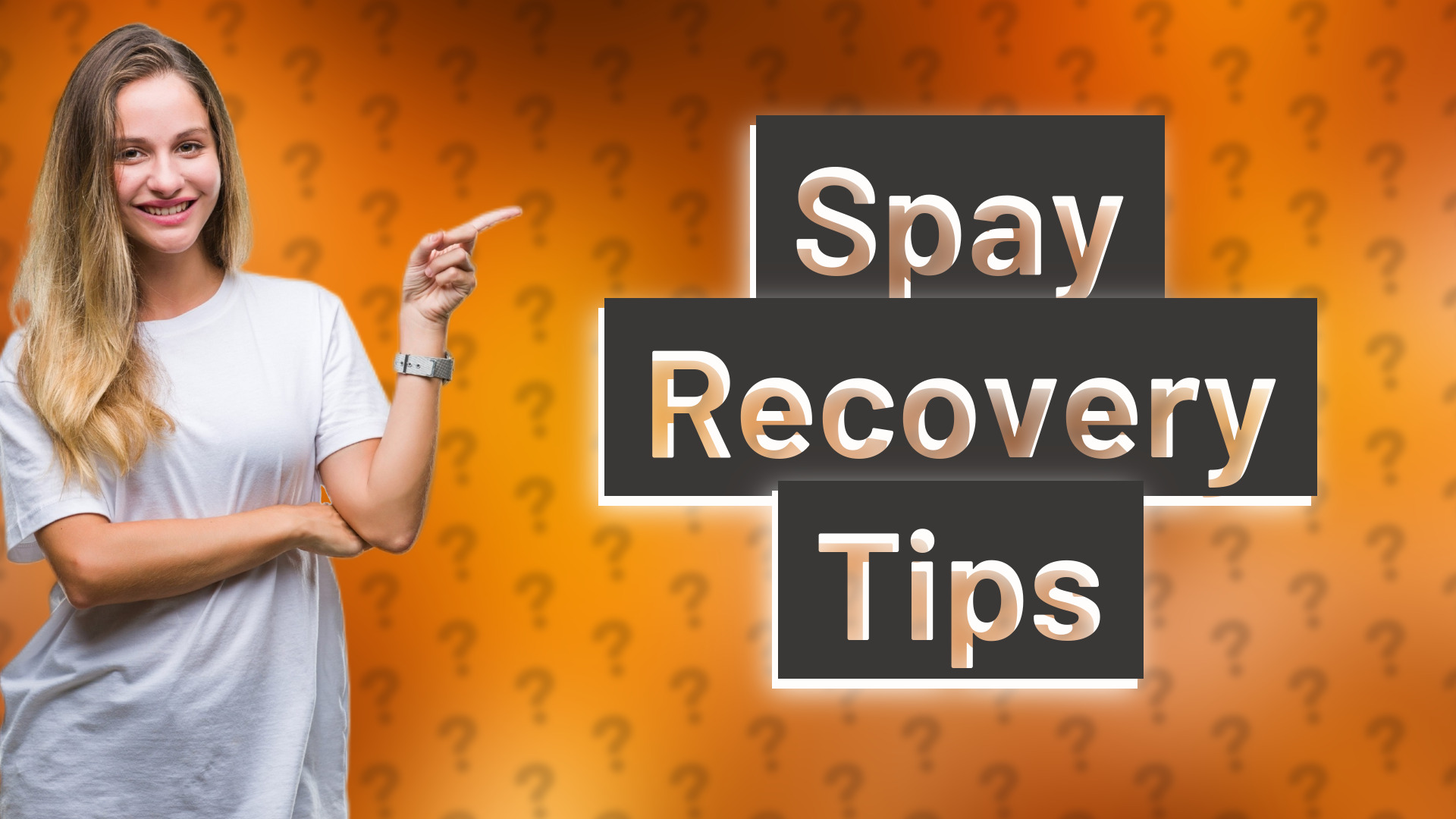 Spay Recovery Tips