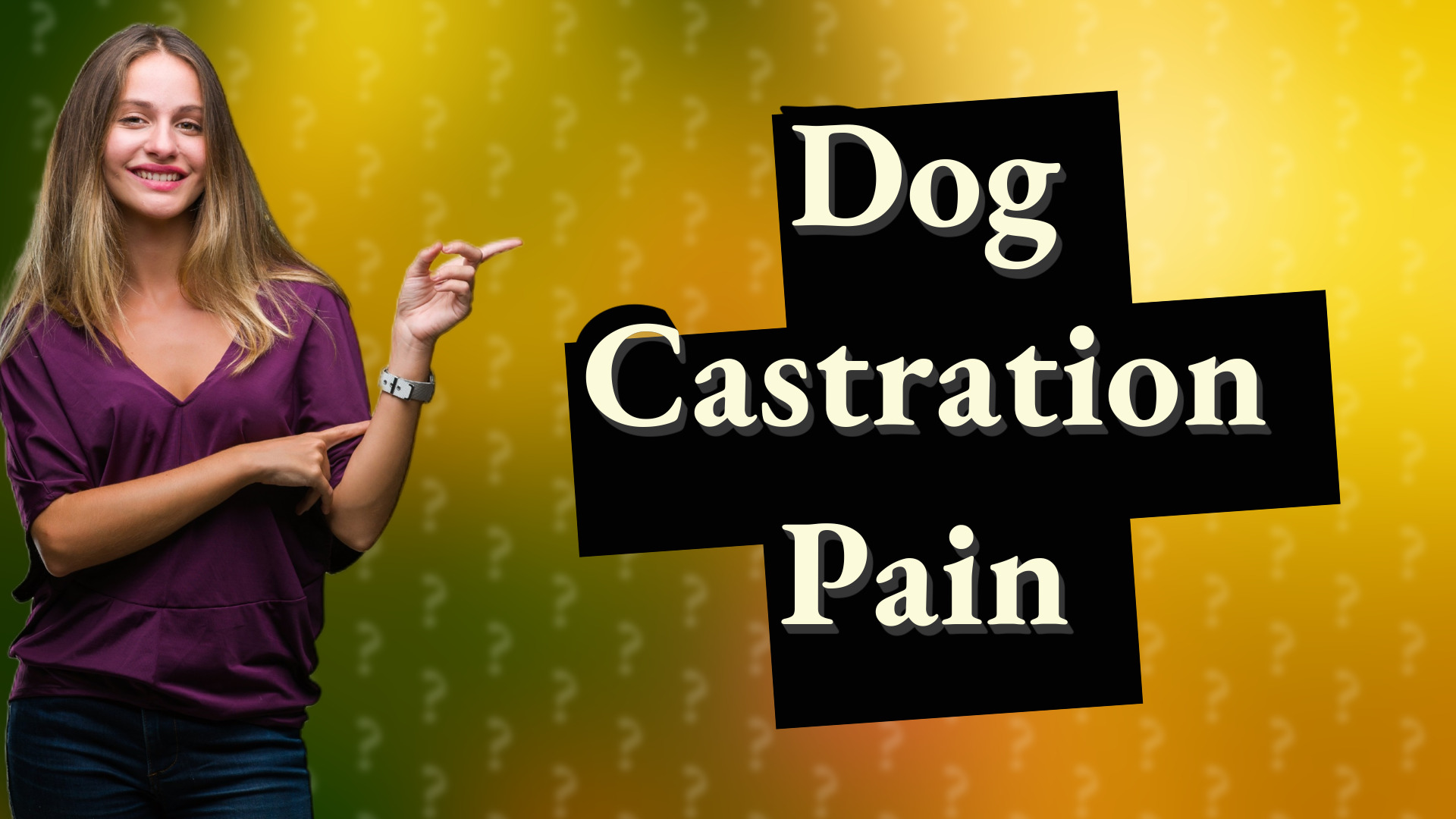 Dog Castration Pain