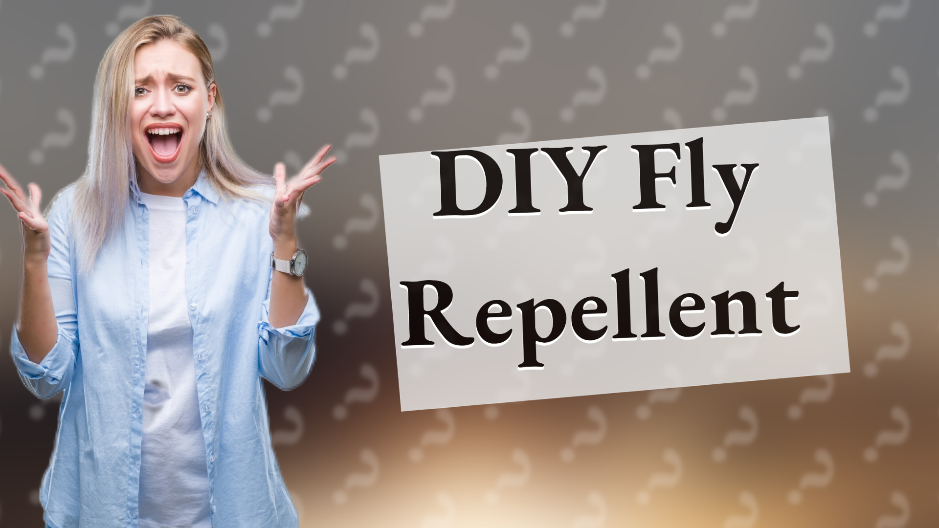 DIY Fly Repellent