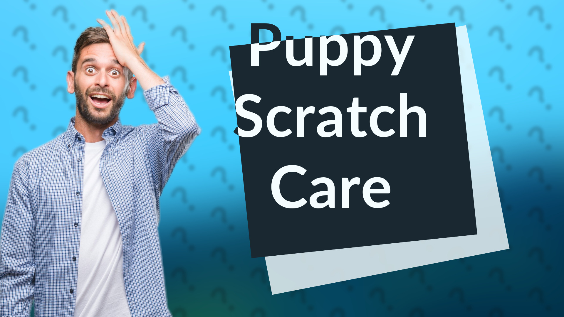 Puppy Scratch Care