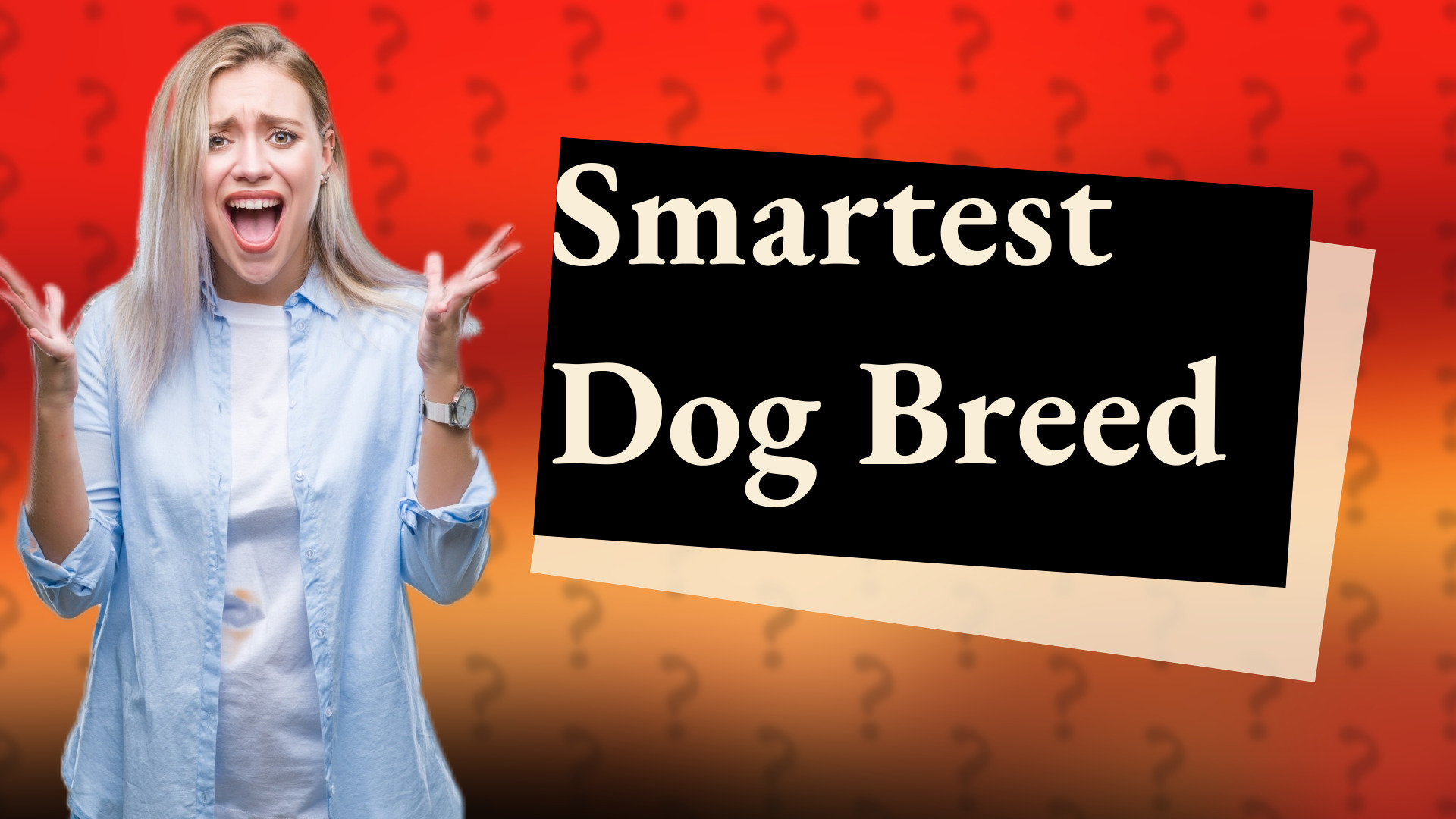Smartest Dog Breed