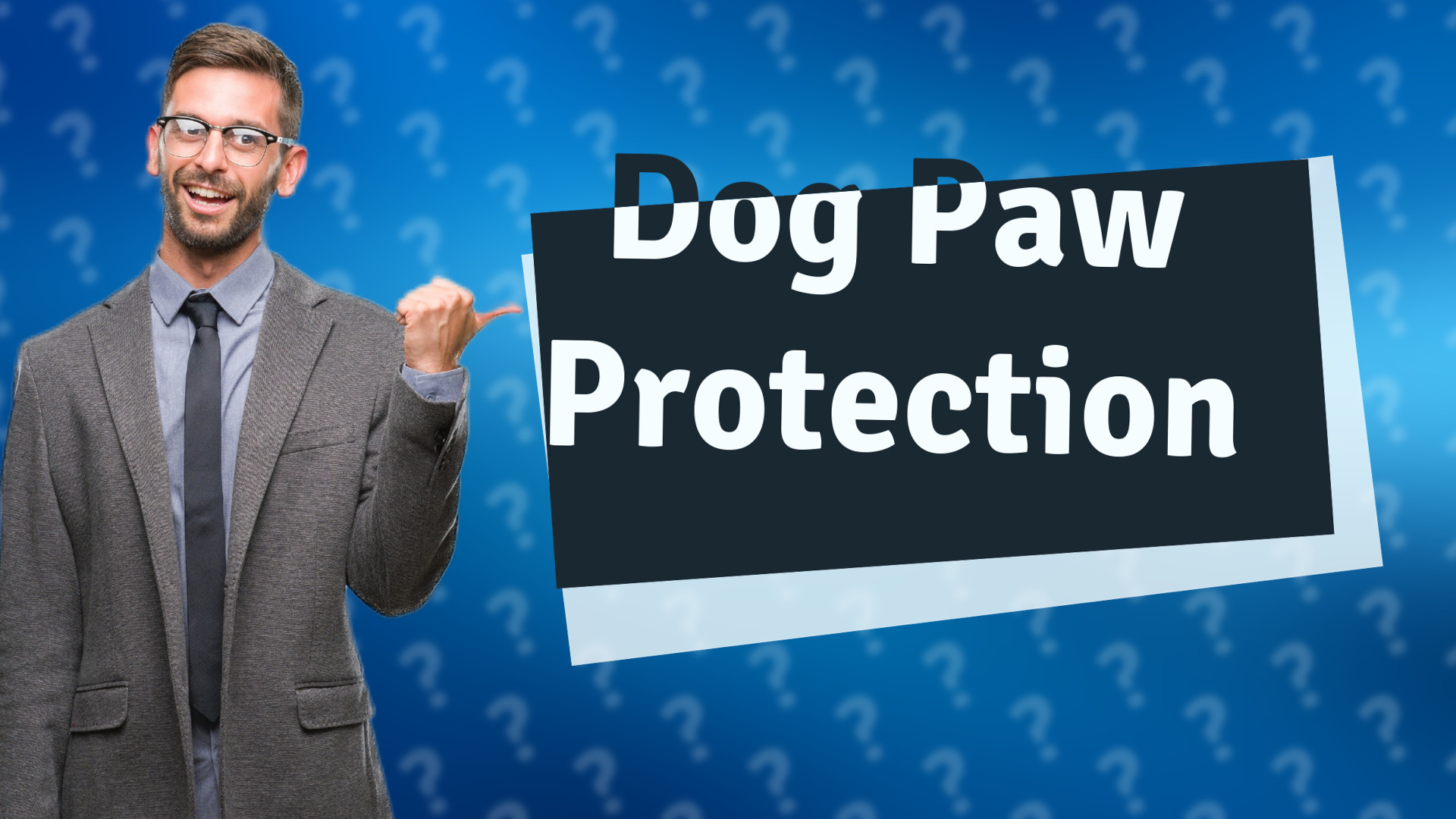 Dog Paw Protection