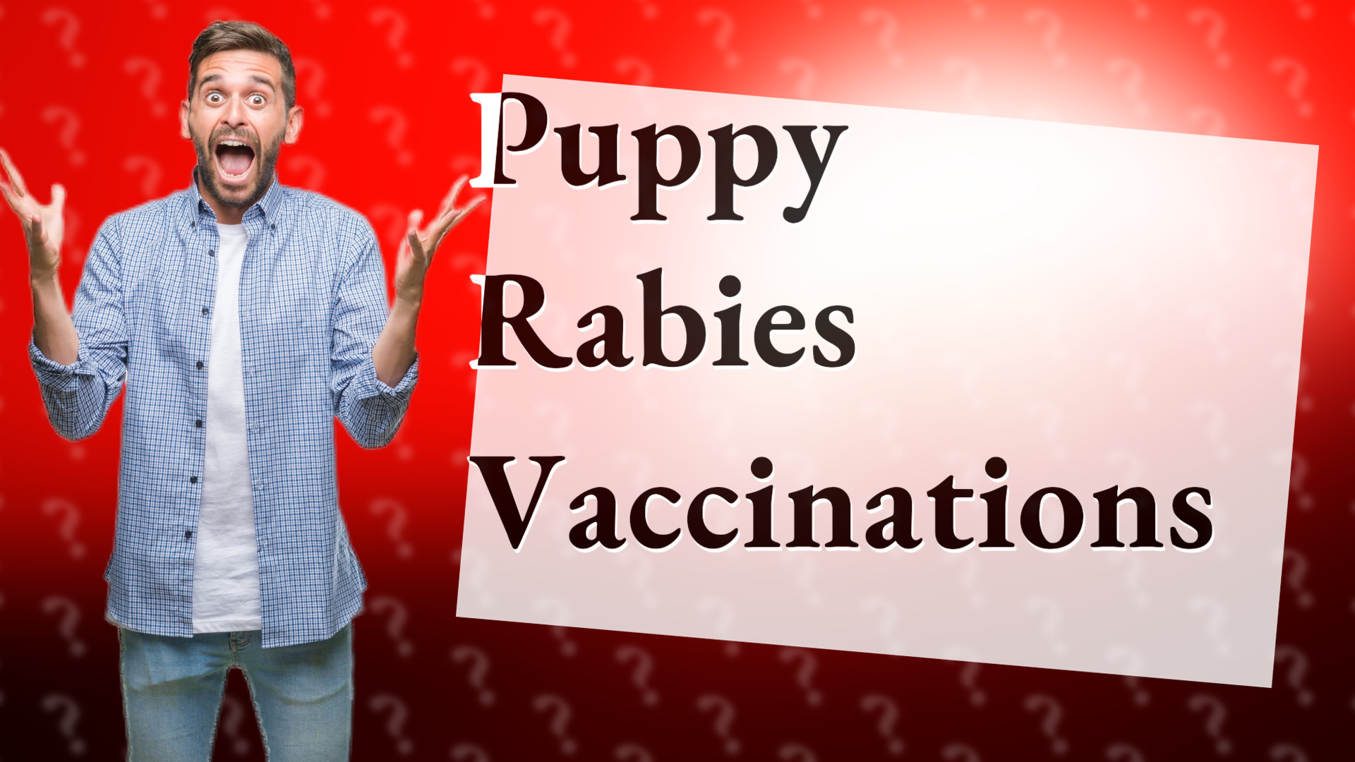 Puppy Rabies Vaccinations