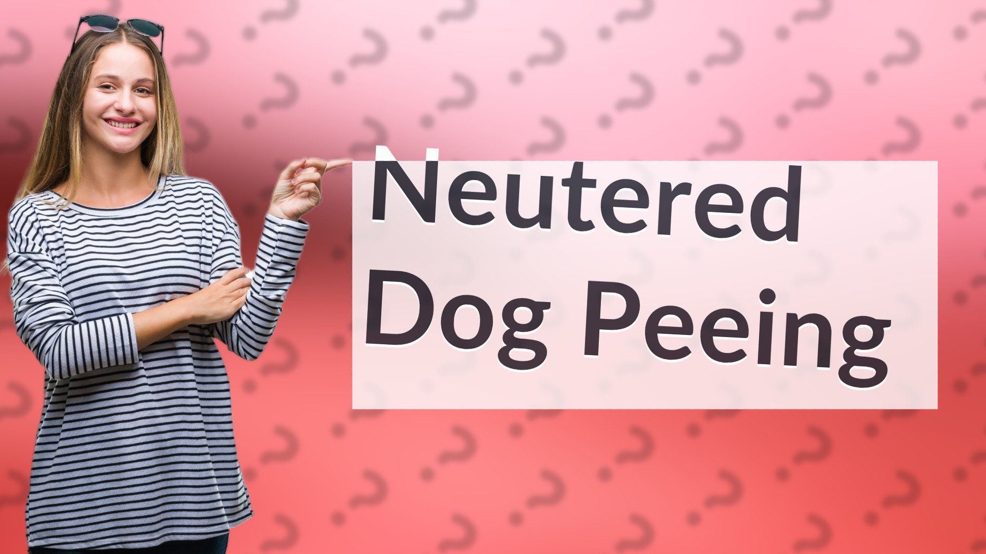 Neutered Dog Peeing