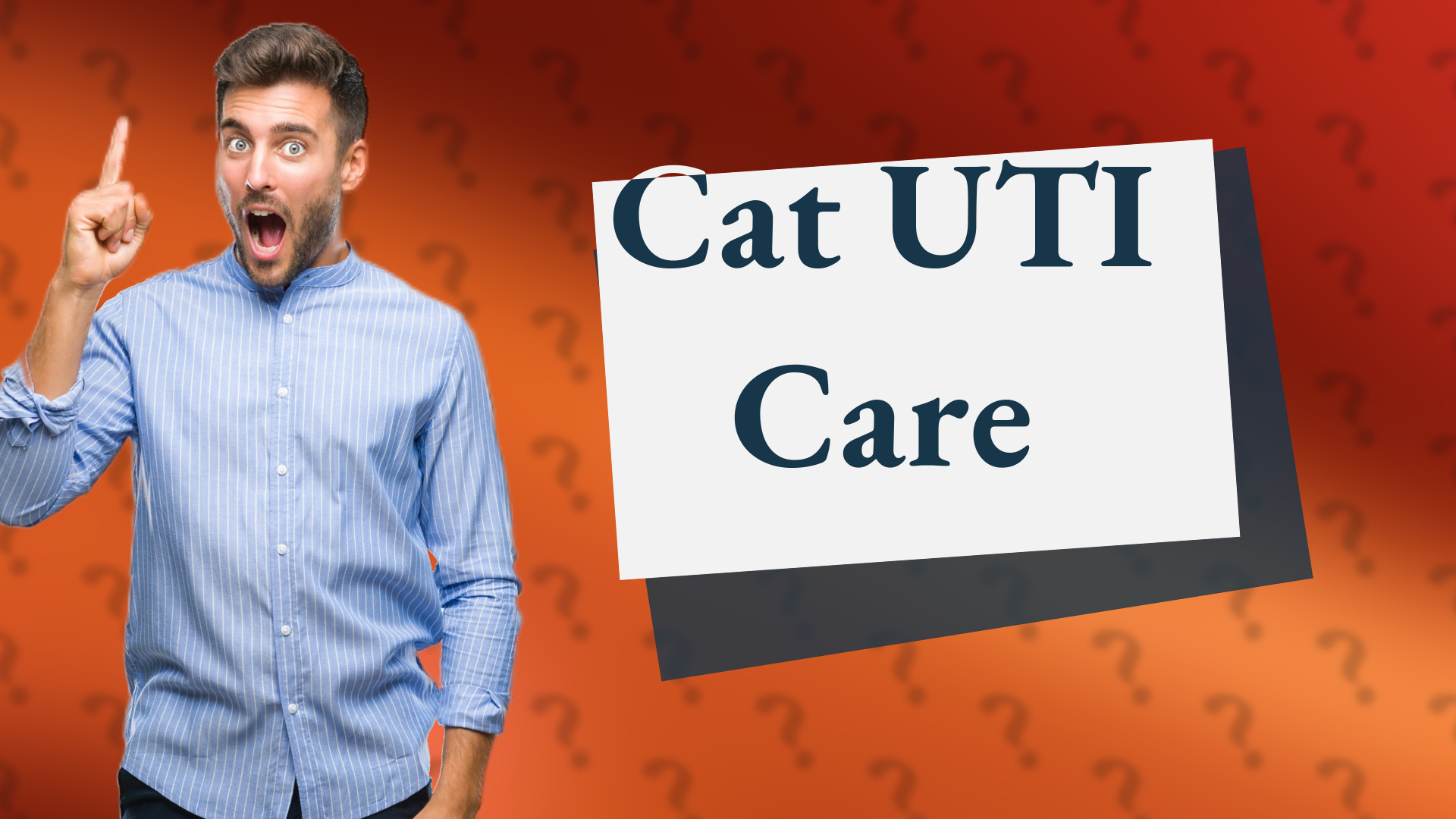 Cat UTI Care