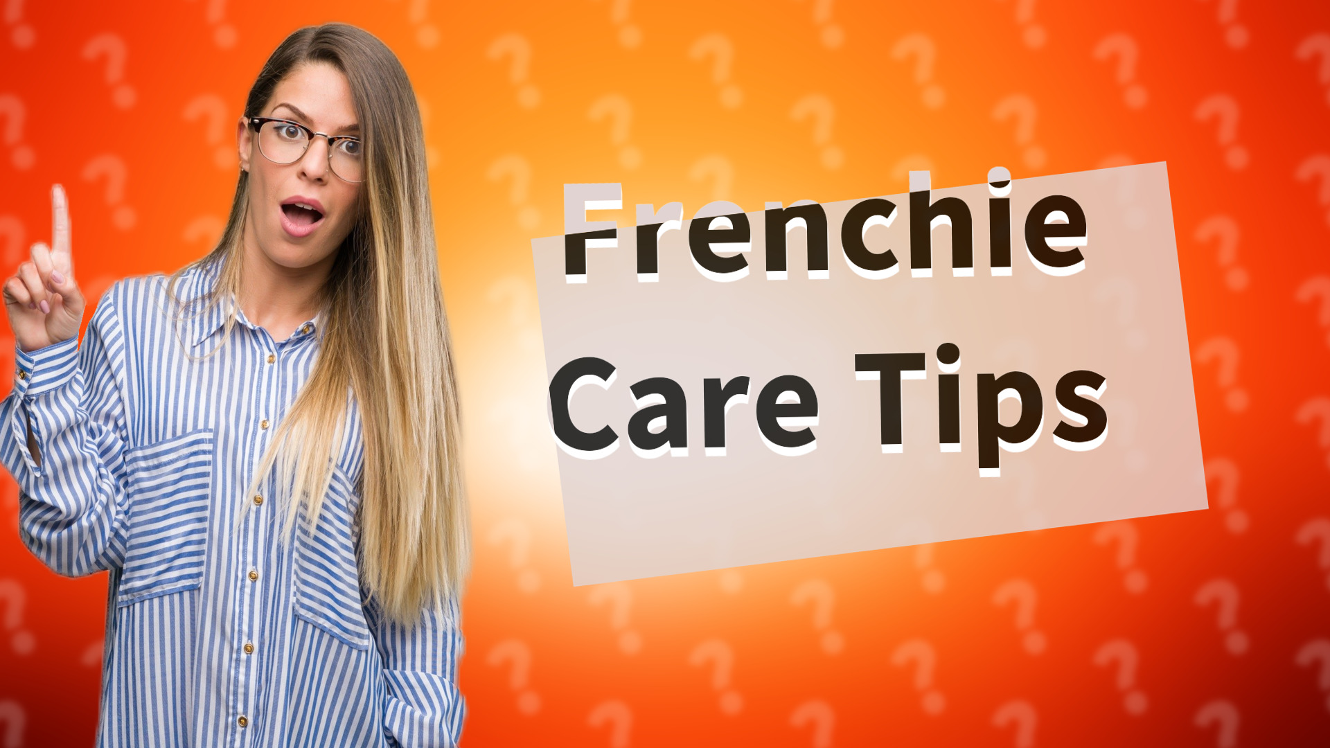 Frenchie Care Tips