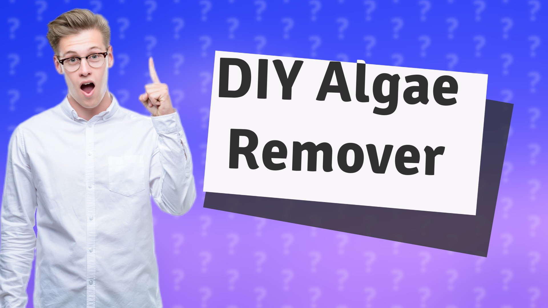 DIY Algae Remover