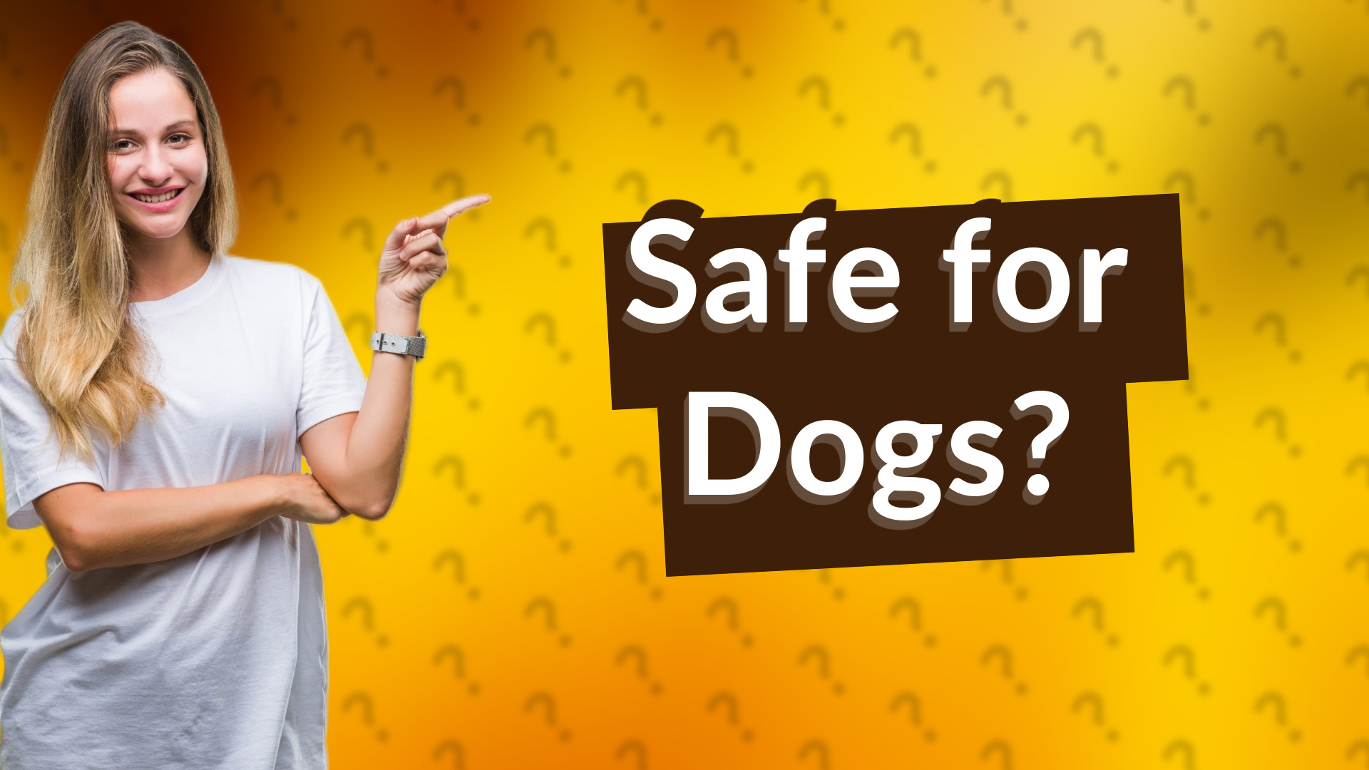 Safe for Dogs?