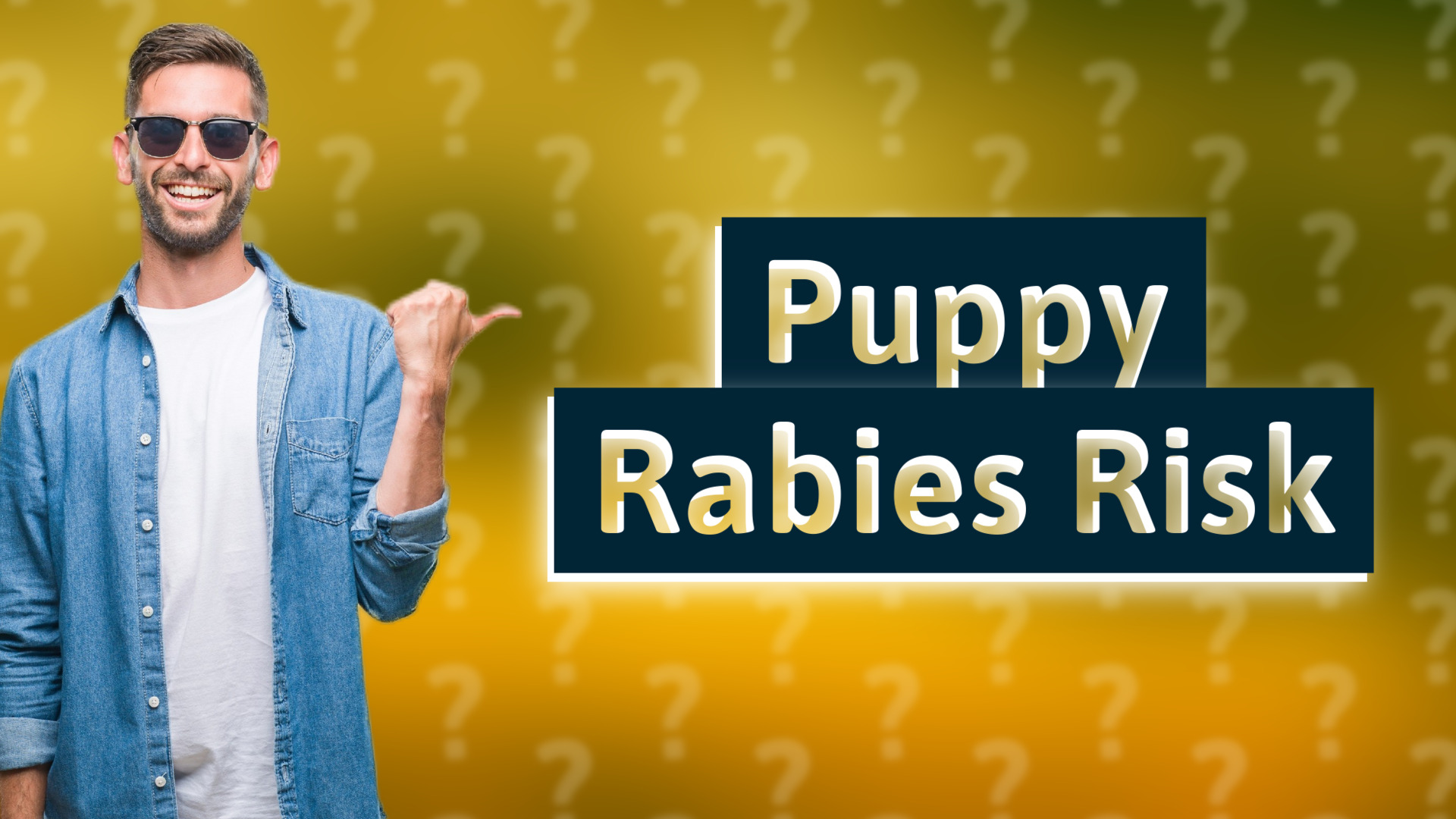 Puppy Rabies Risk