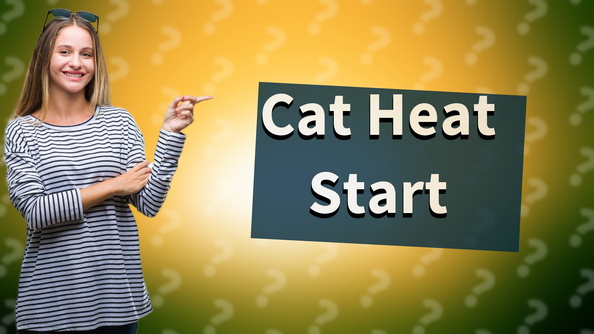 Cat Heat Start