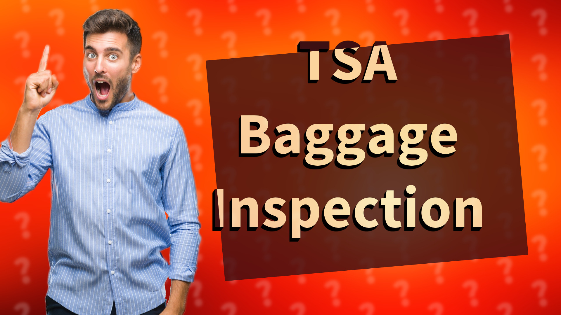 TSA Baggage Inspection