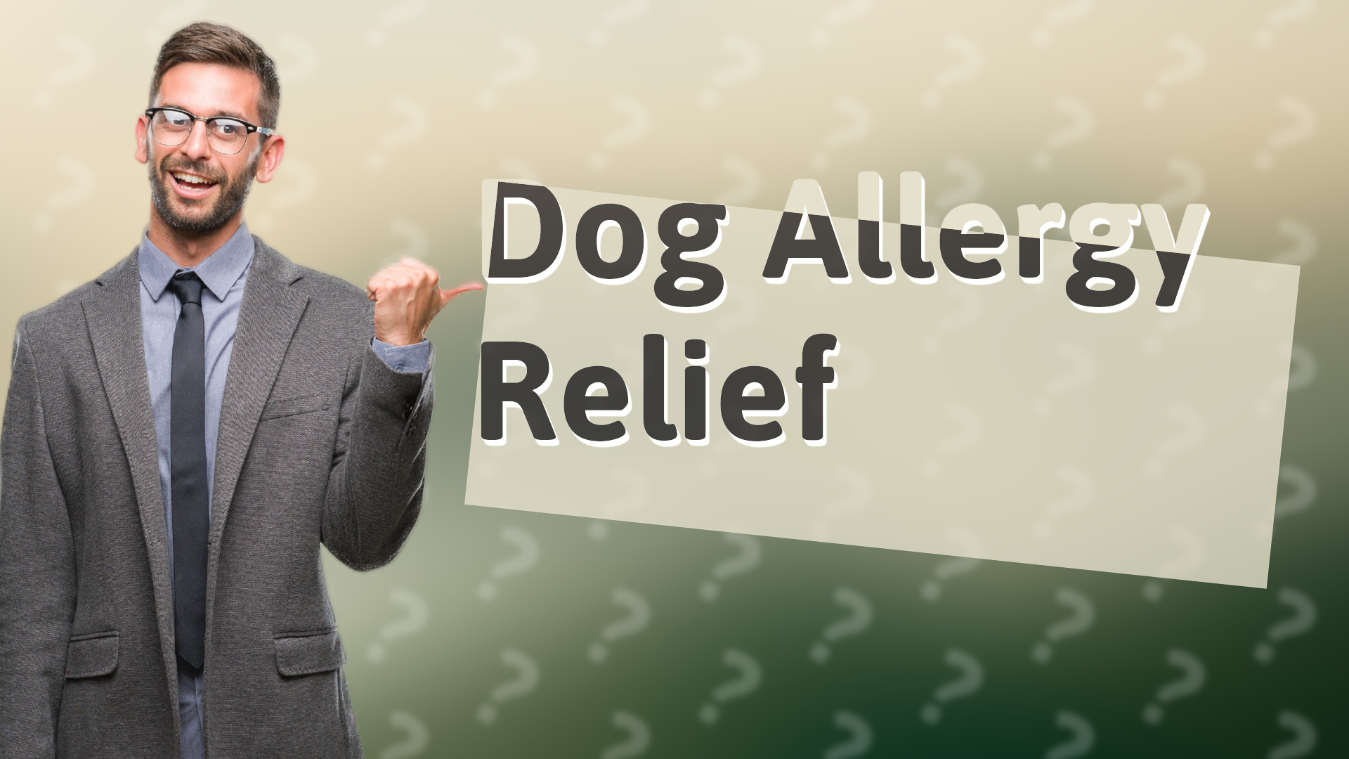 Dog Allergy Relief