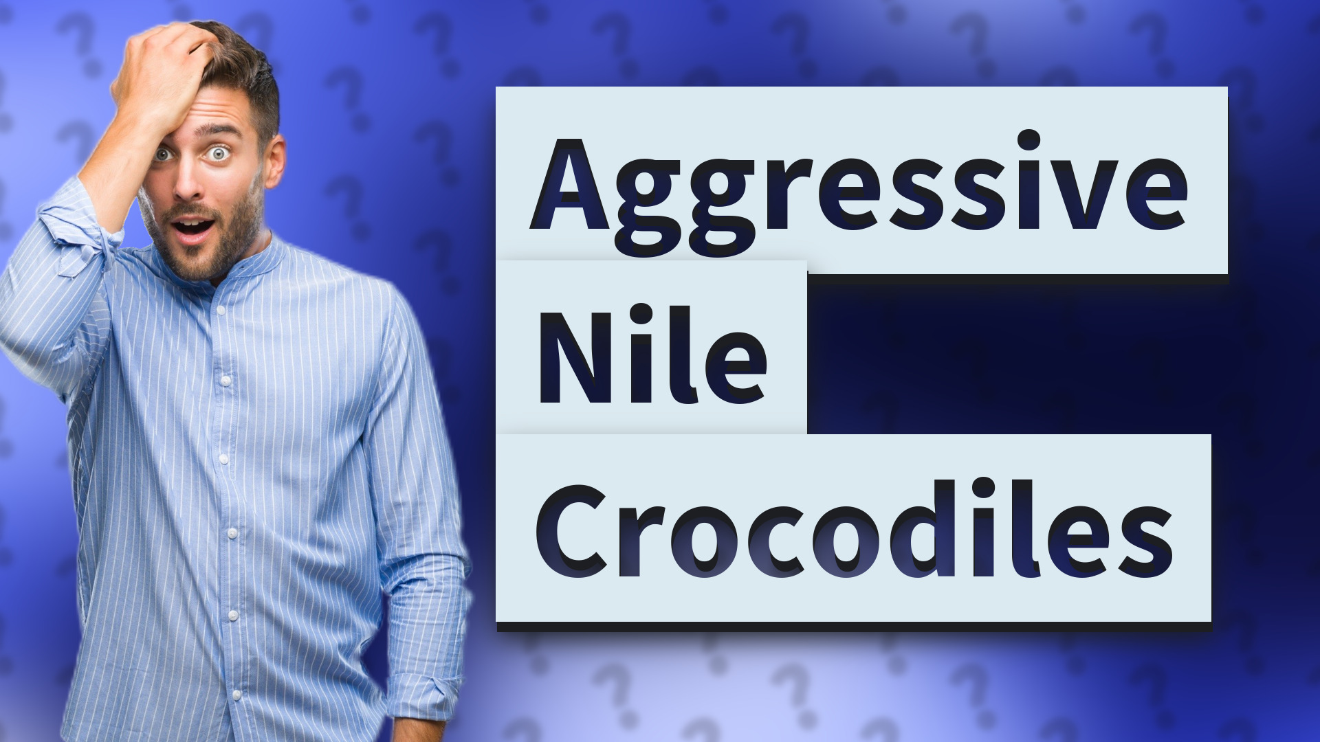 Aggressive Nile Crocodiles