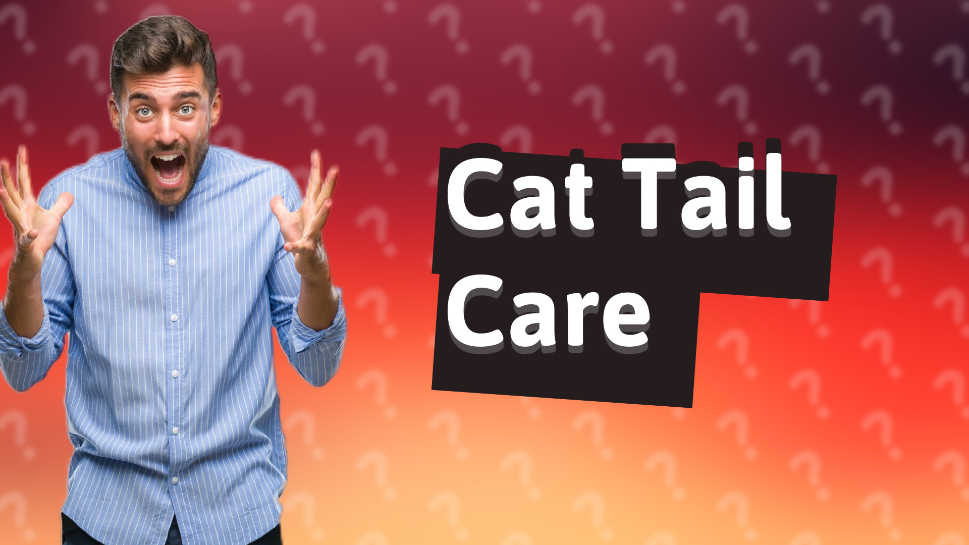 Cat Tail Care