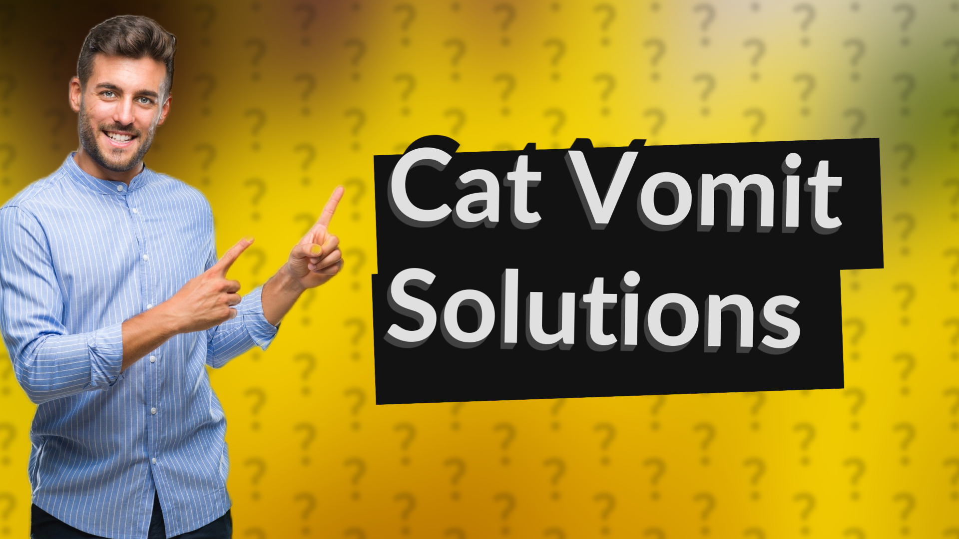 Cat Vomit Solutions
