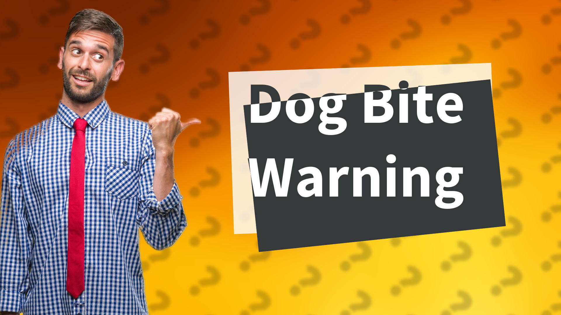 Dog Bite Warning