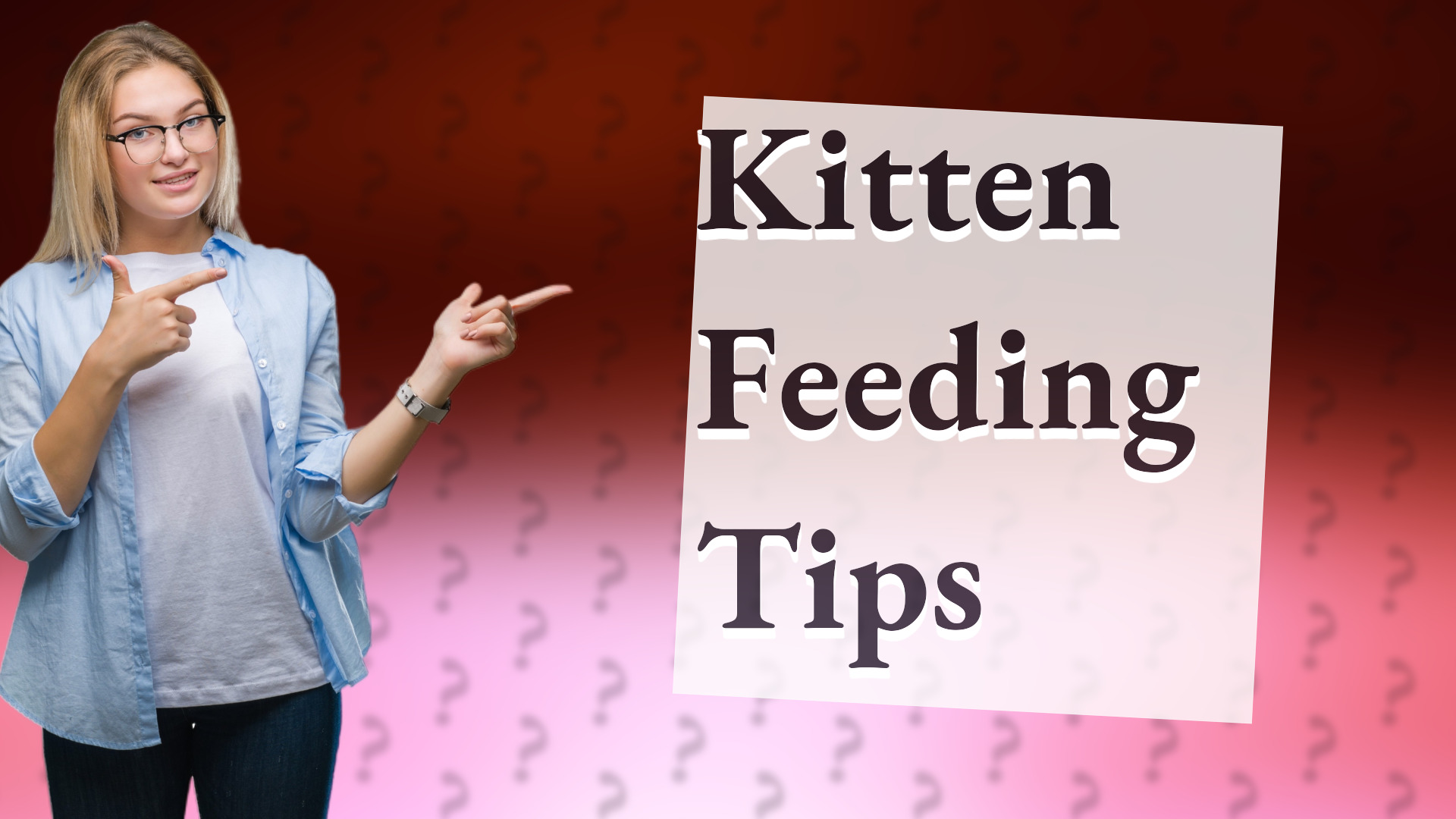 Kitten Feeding Tips