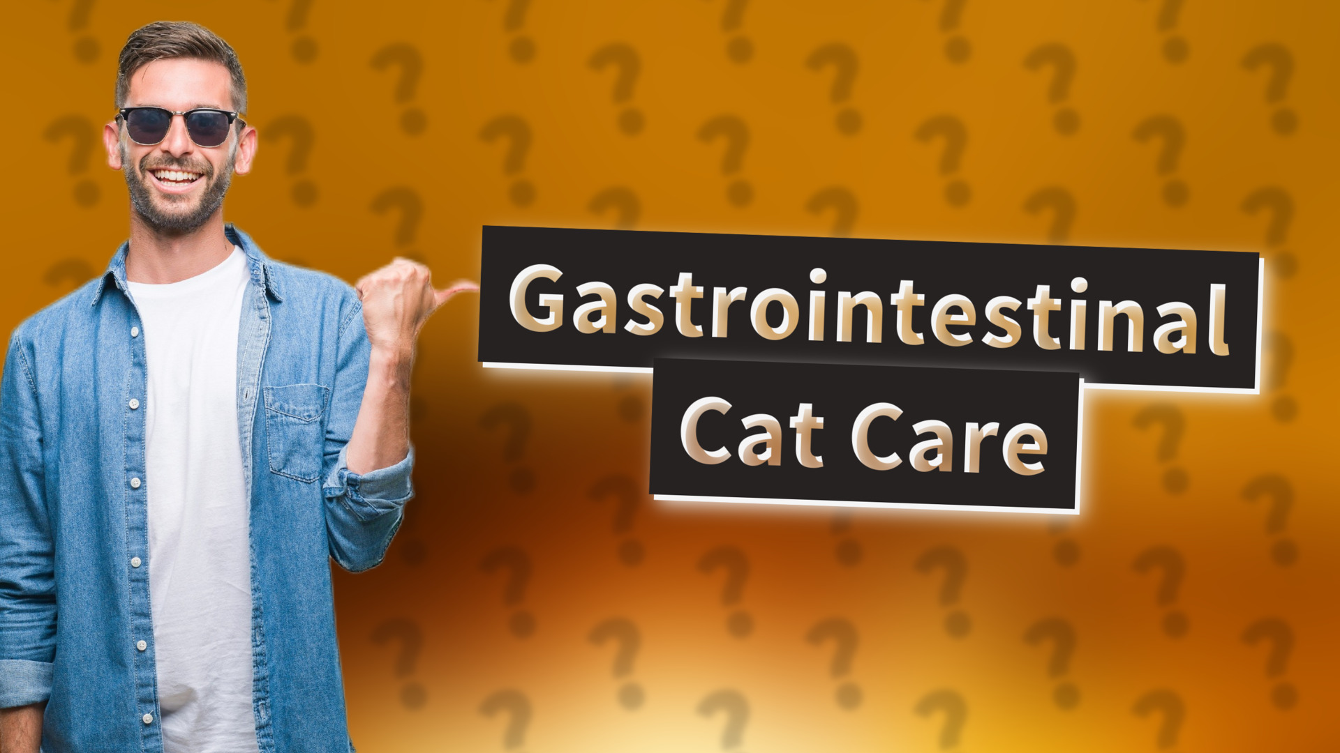 Gastrointestinal Cat Care