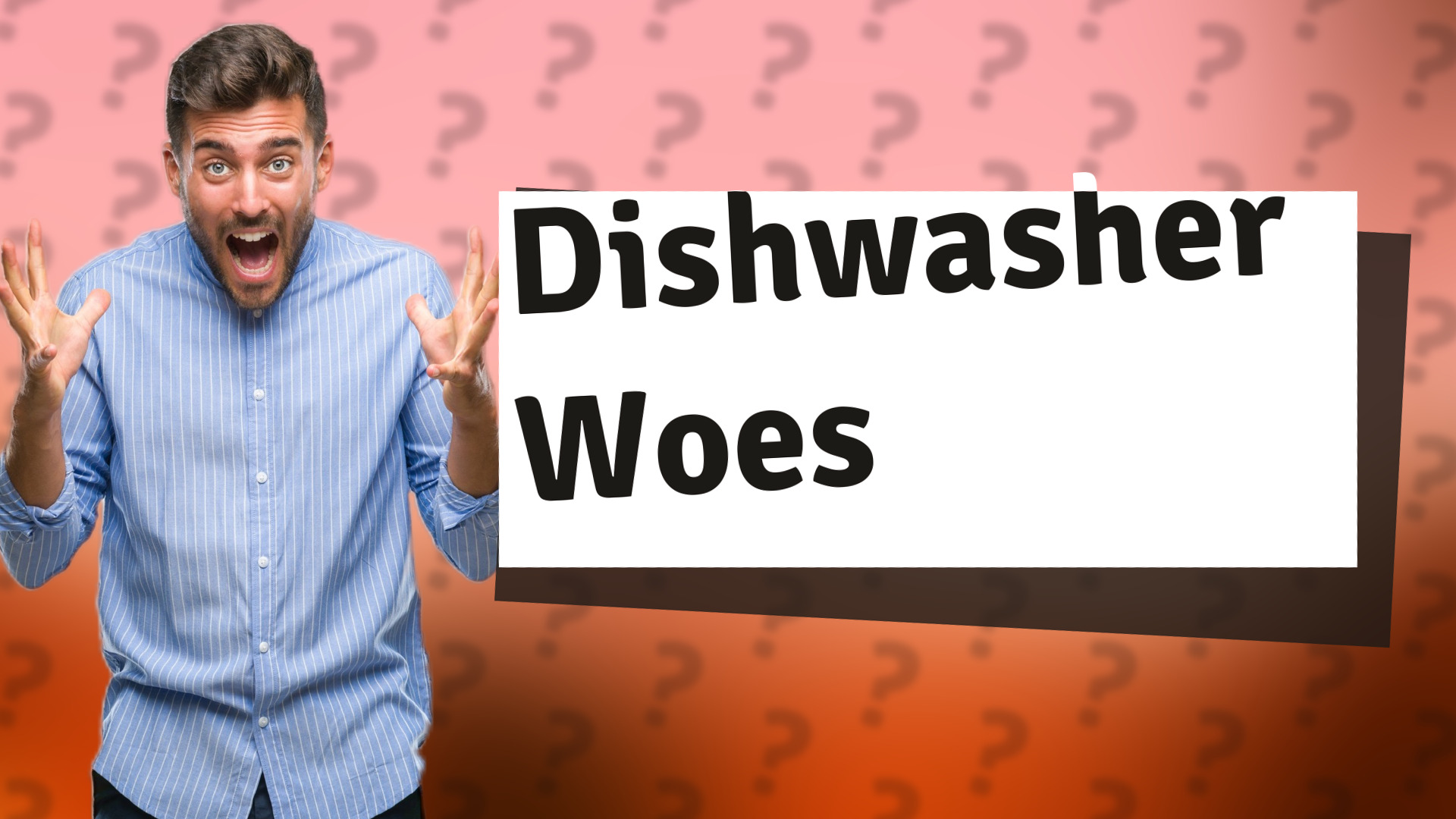 Dishwasher Woes